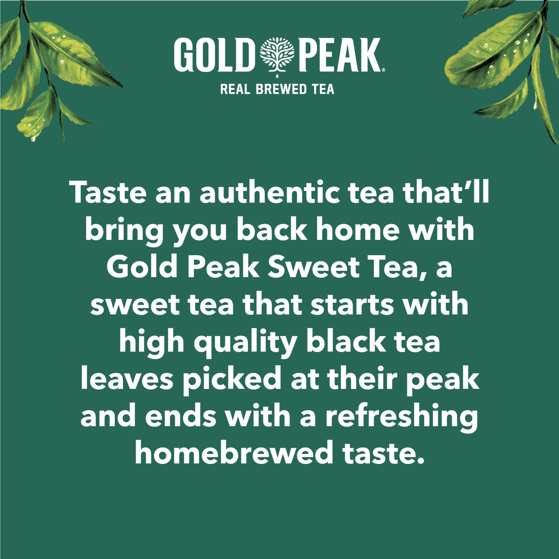 top-rated-black-tea-gold-peak