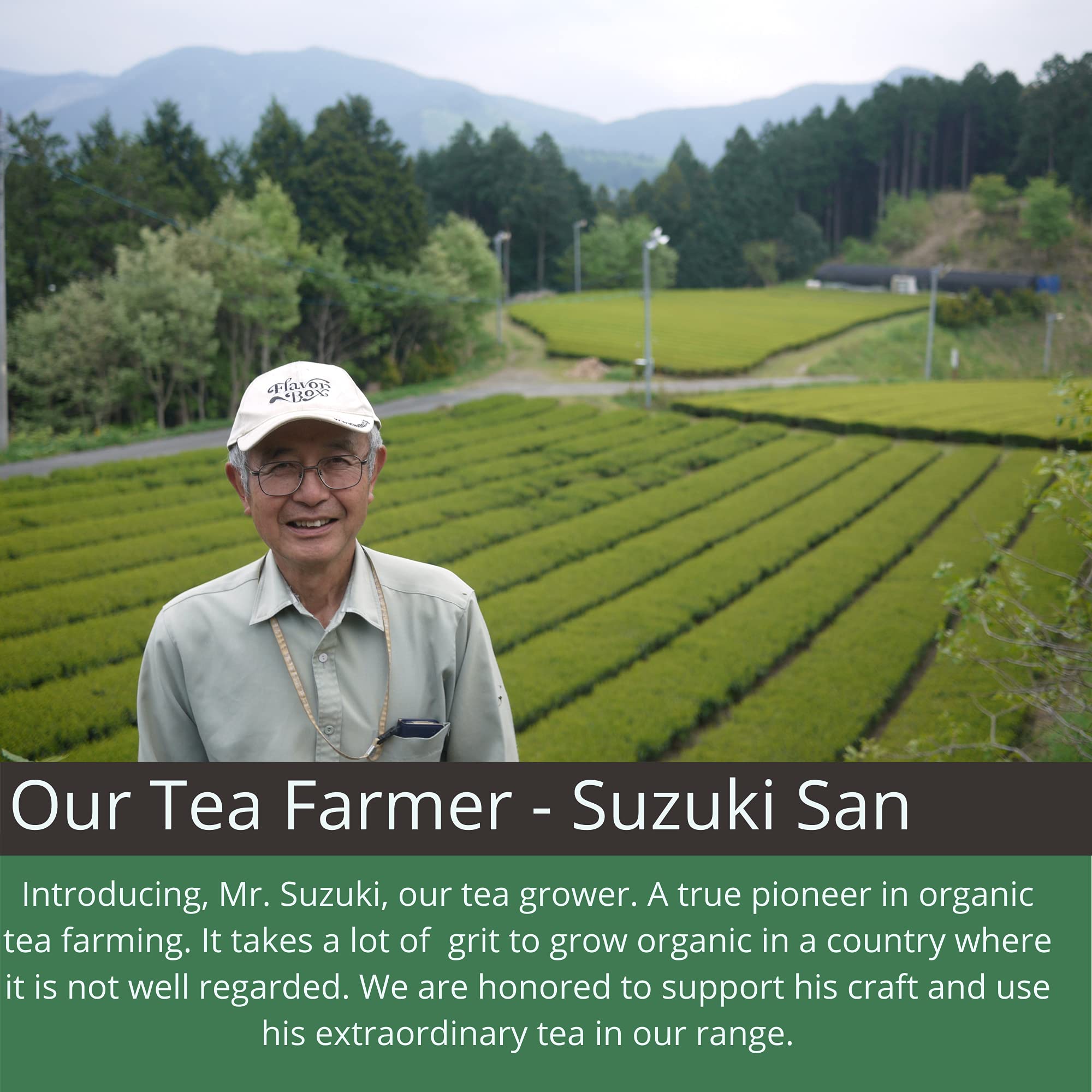 smooth-bold-flavor-green-tea