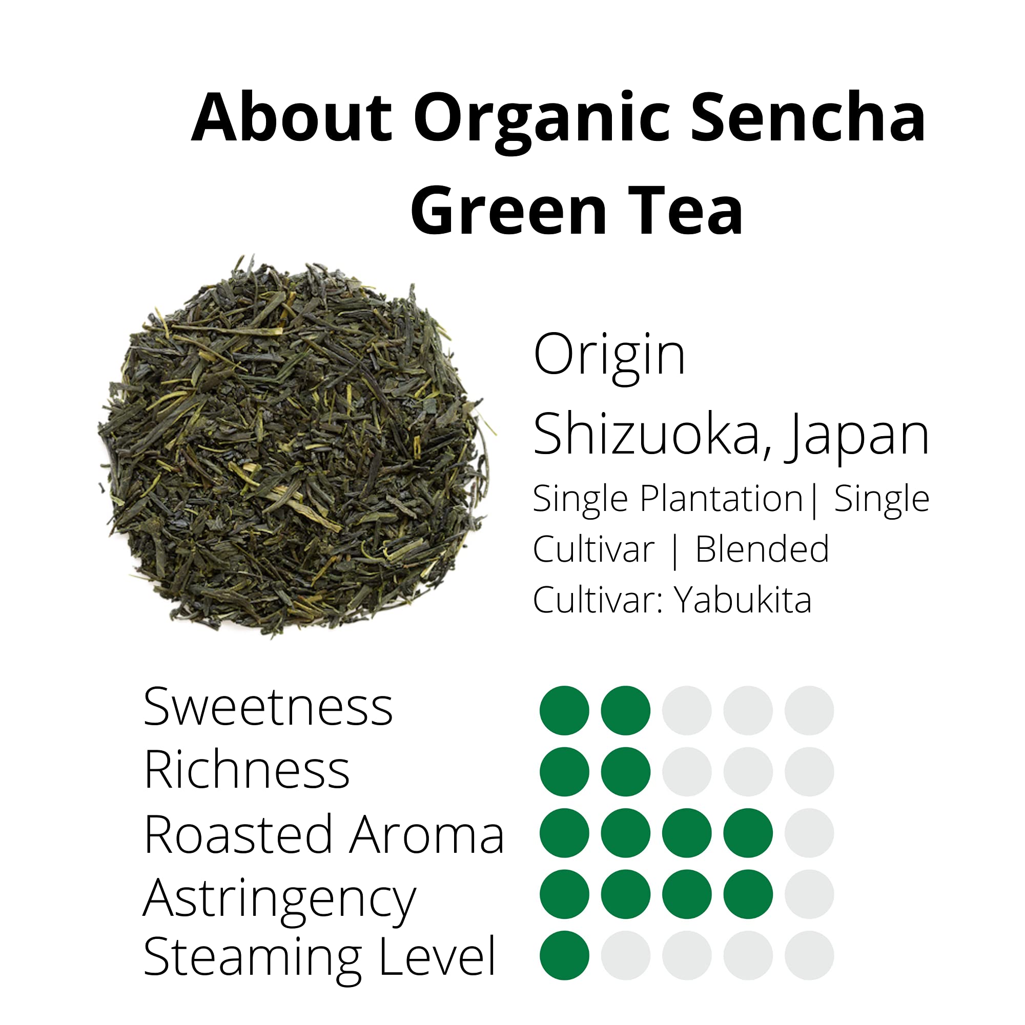 easy-to-brew-green-tea