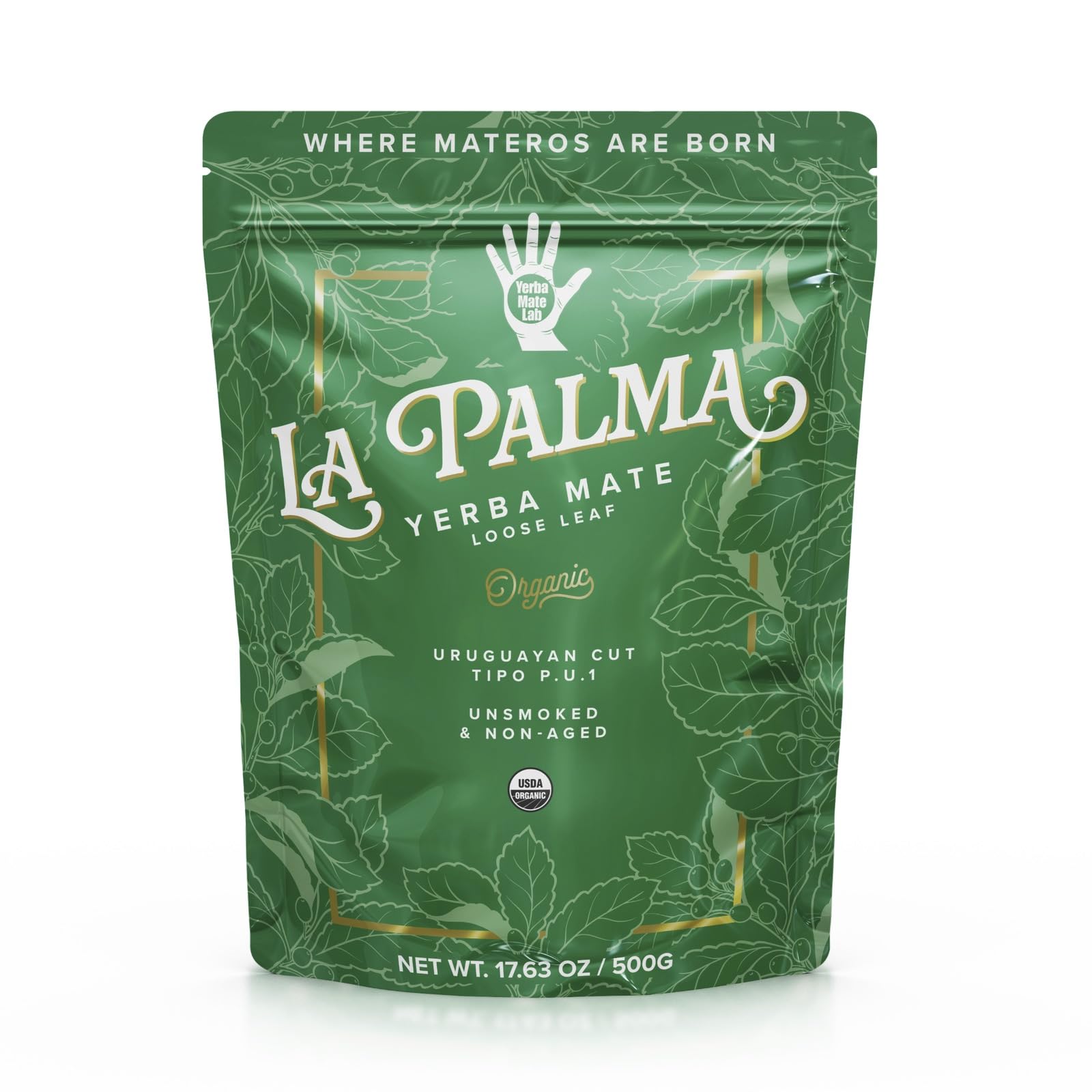 best-green-tea-yerba-mate-lab-light