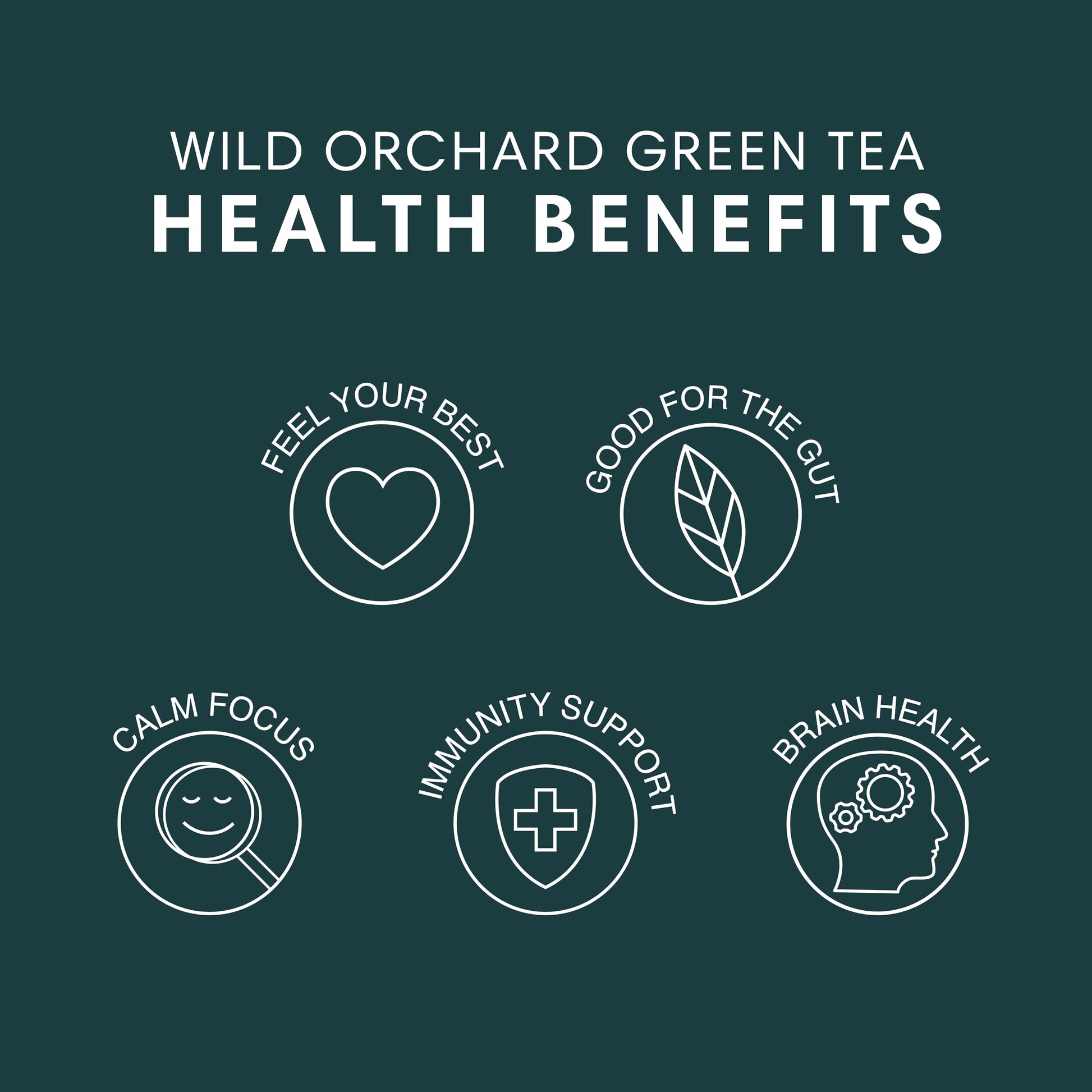 easy-to-brew-cold-brew-coffee