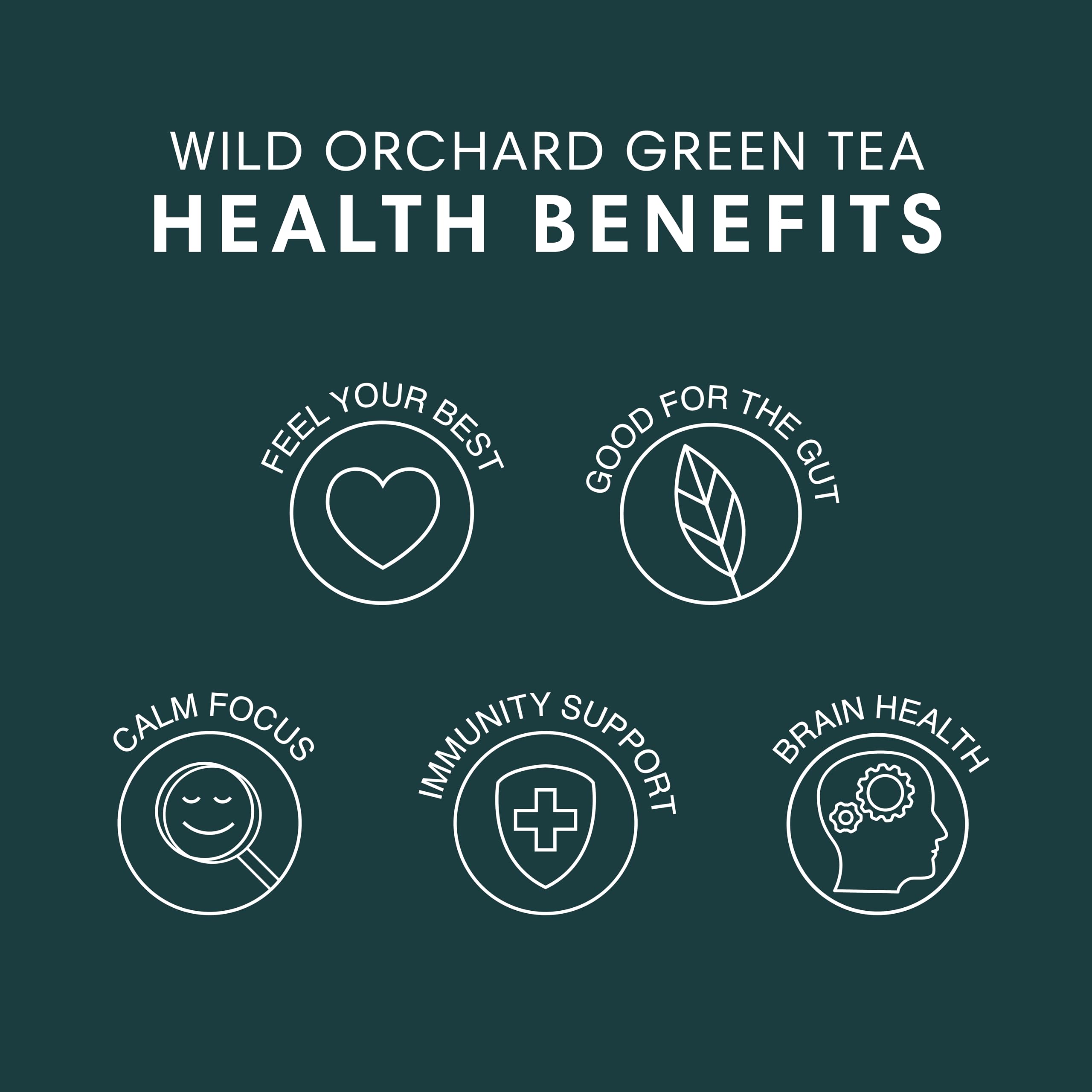 easy-to-brew-cold-brew-coffee