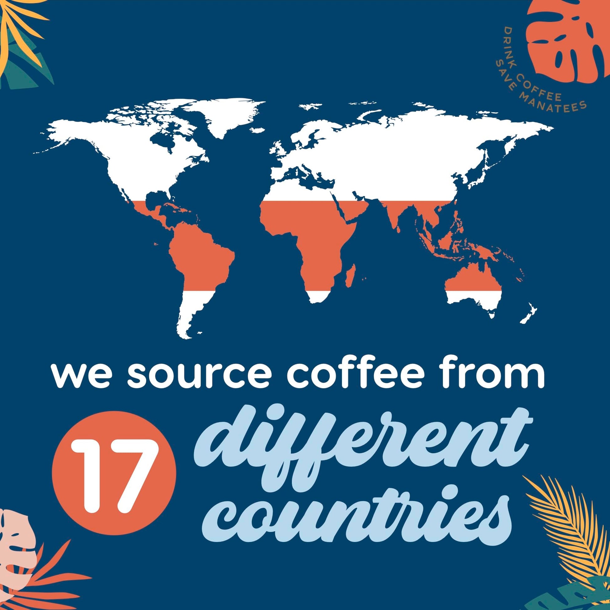 affordable-whole-beans