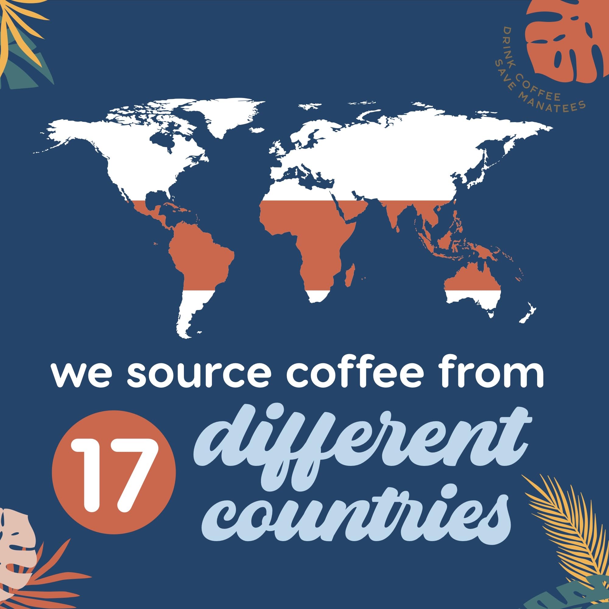 affordable-whole-beans