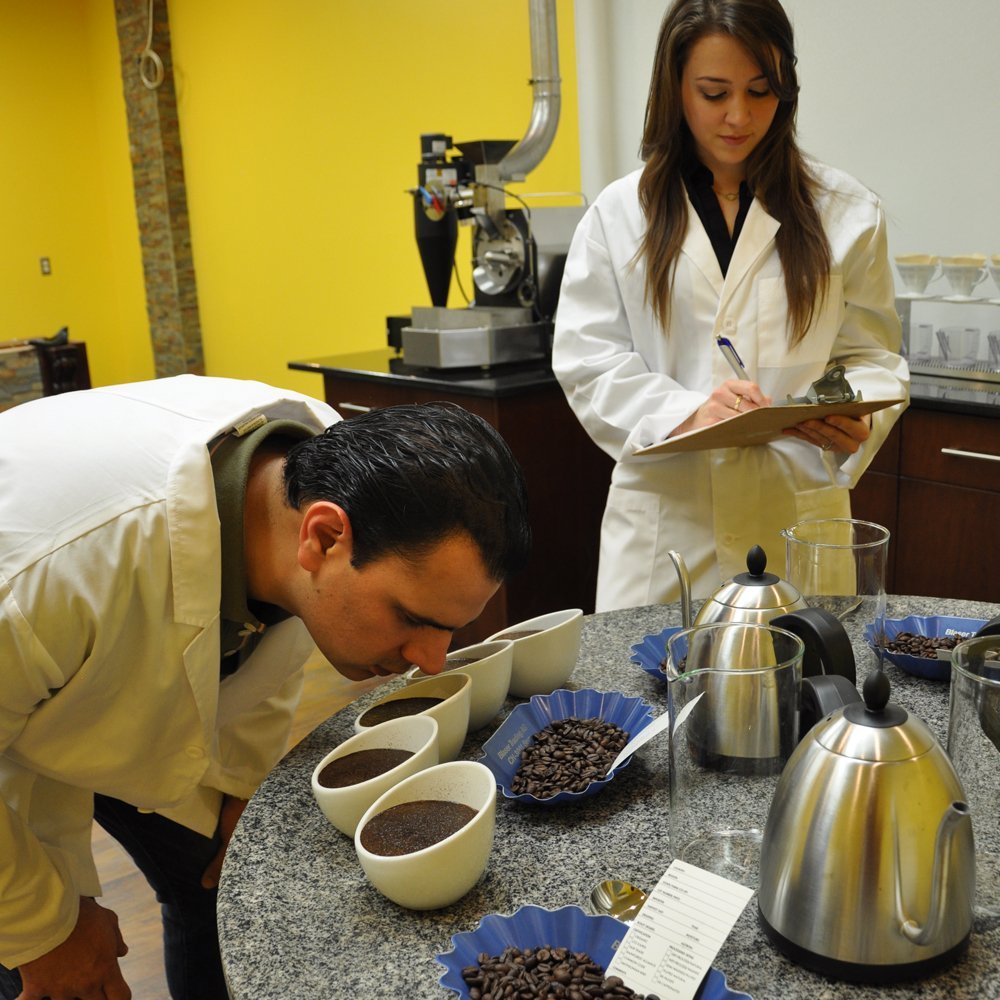 top-rated-whole-beans-cafe-don-pablo