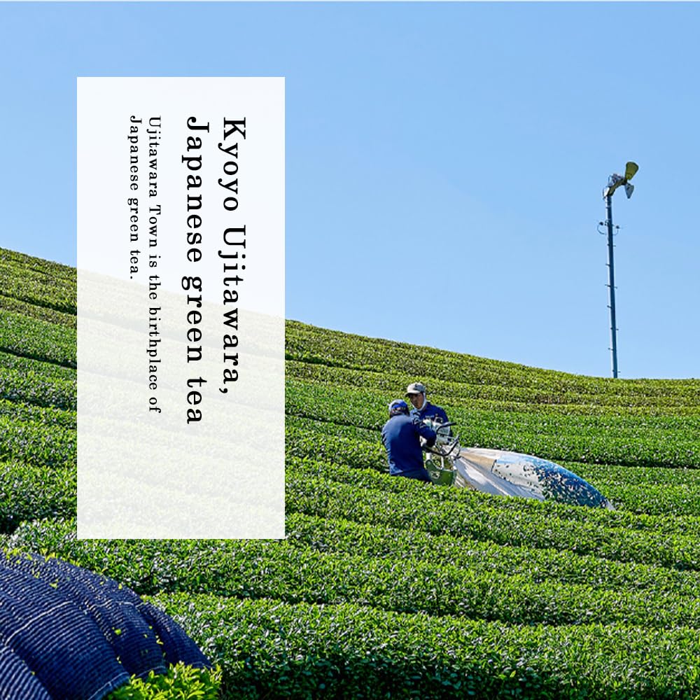 premium-matcha-powder-tomosan