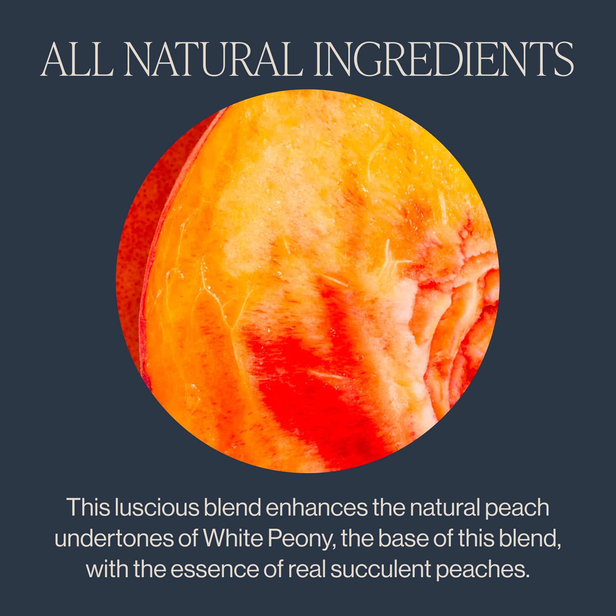 convenient-instant-tea-multi-serve