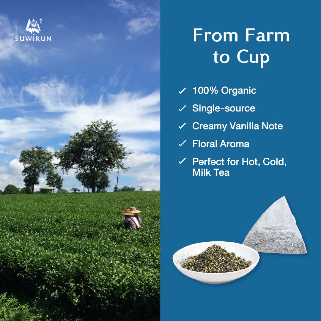 easy-to-brew-green-tea