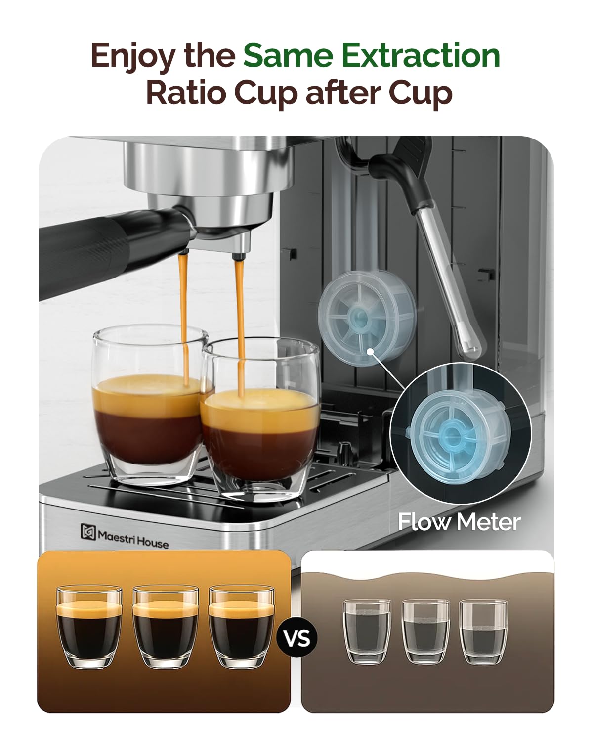 premium-cappuccino-mix-maestri-house