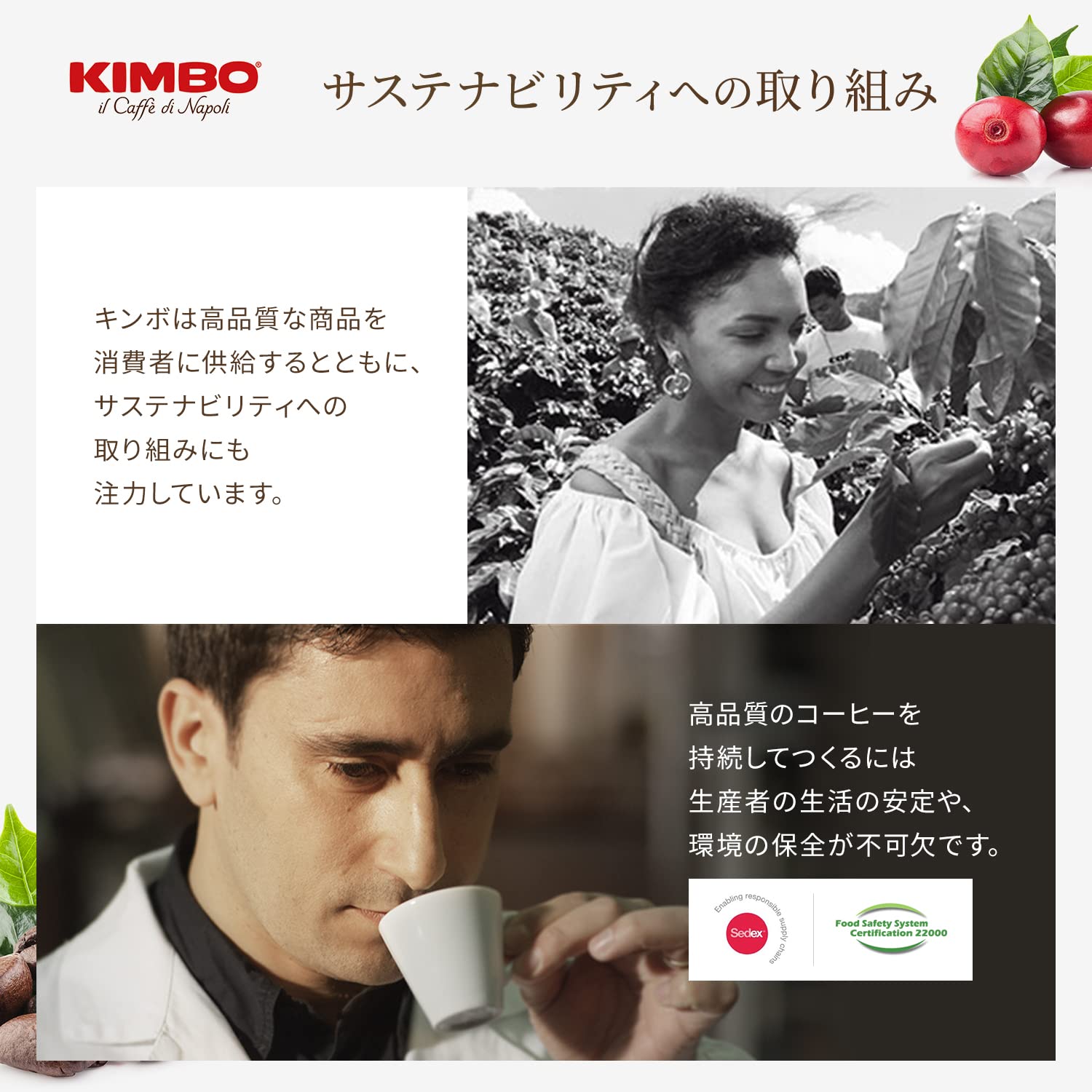 easy-to-brew-whole-beans