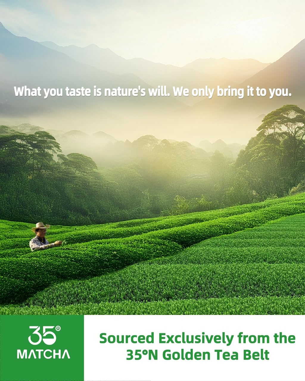 easy-to-brew-matcha-powder