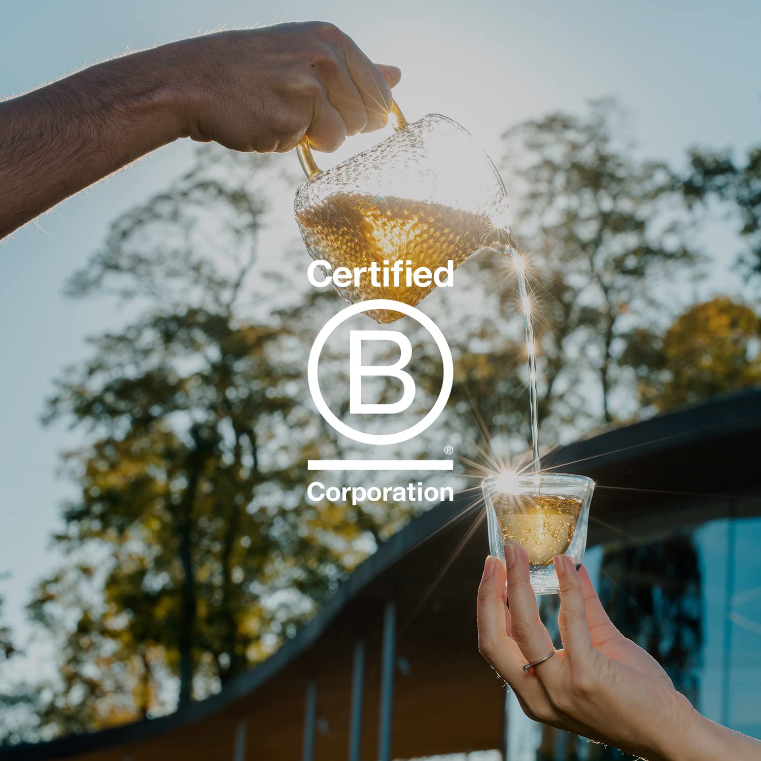 smooth-bold-flavor-decaf-coffee