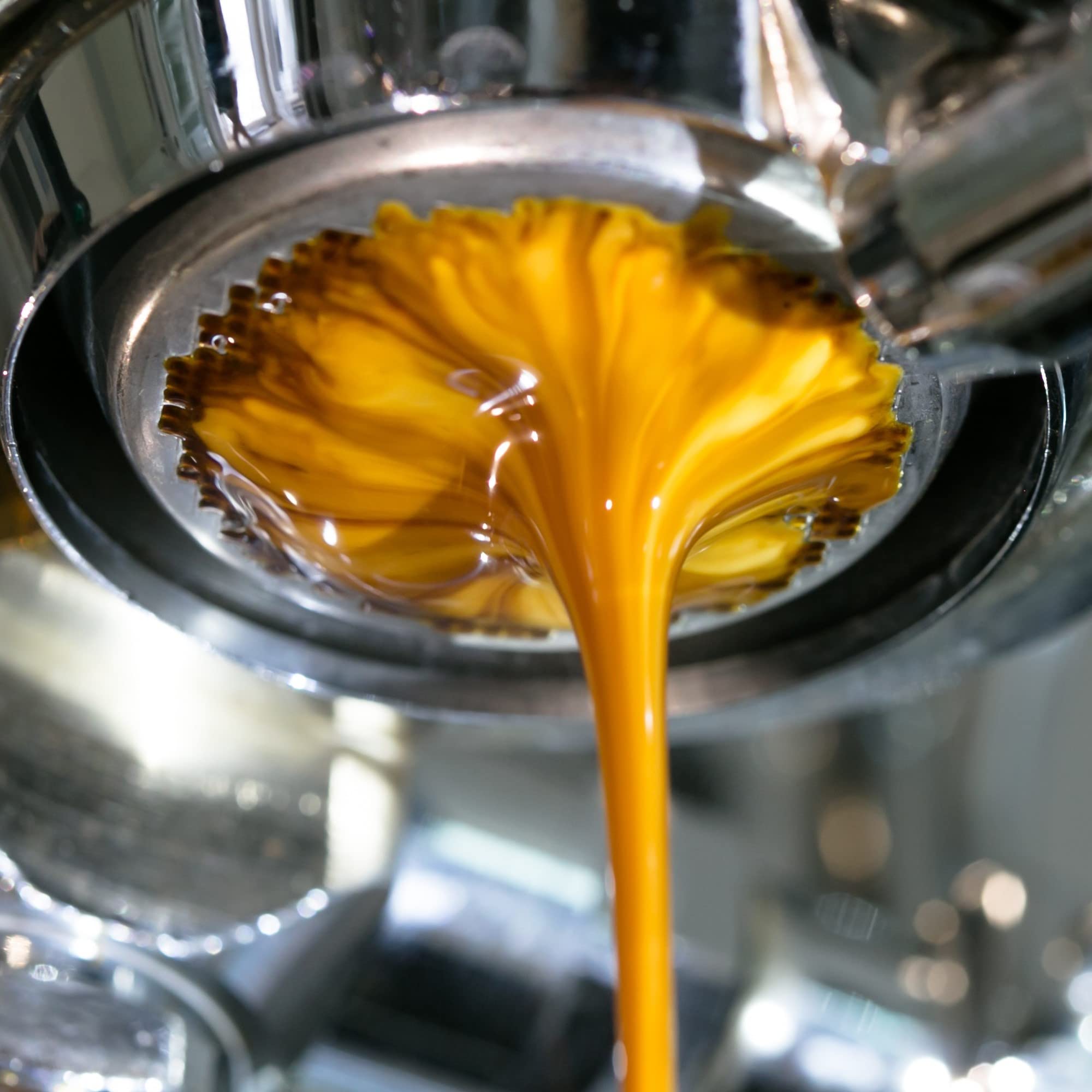 rich-full-bodied-whole-beans