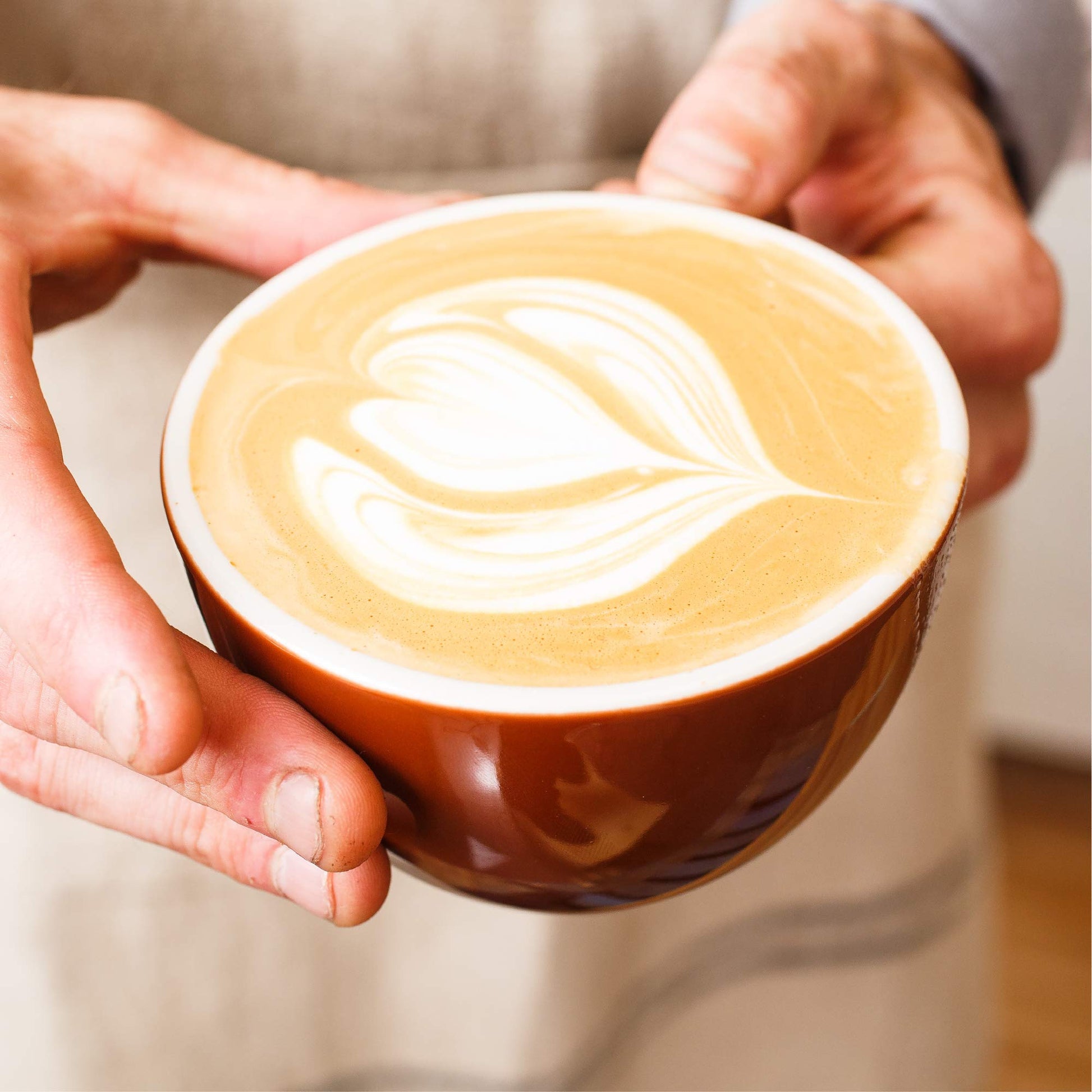 top-rated-whole-beans-gavina