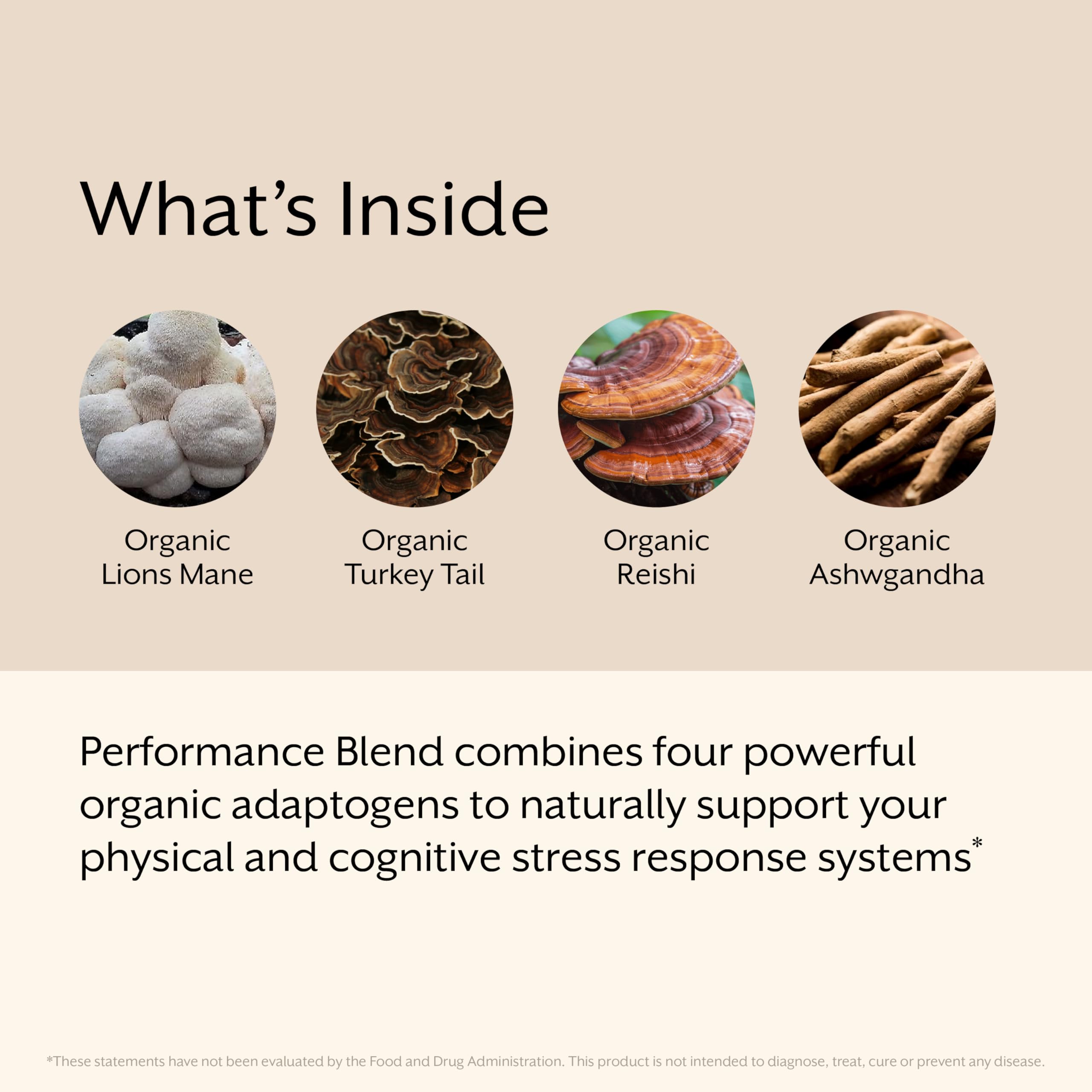 smooth-bold-flavor-mushroom-coffee