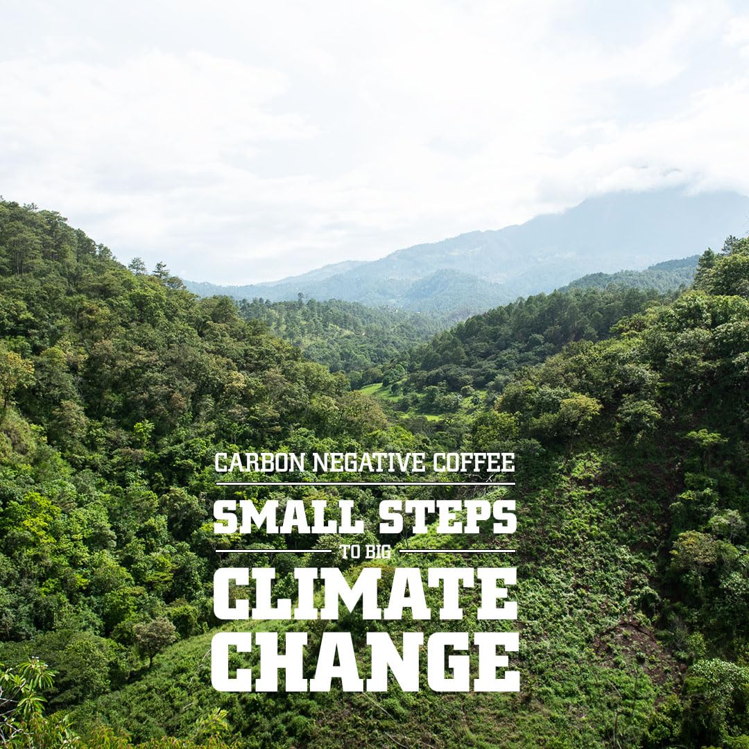 top-rated-ground-coffee-tiny-footprint-coffee