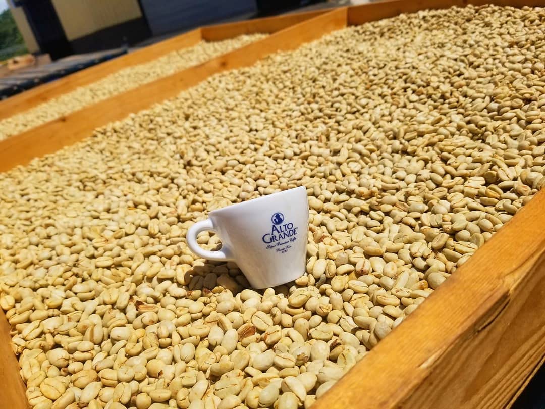top-rated-whole-beans-alto-grande