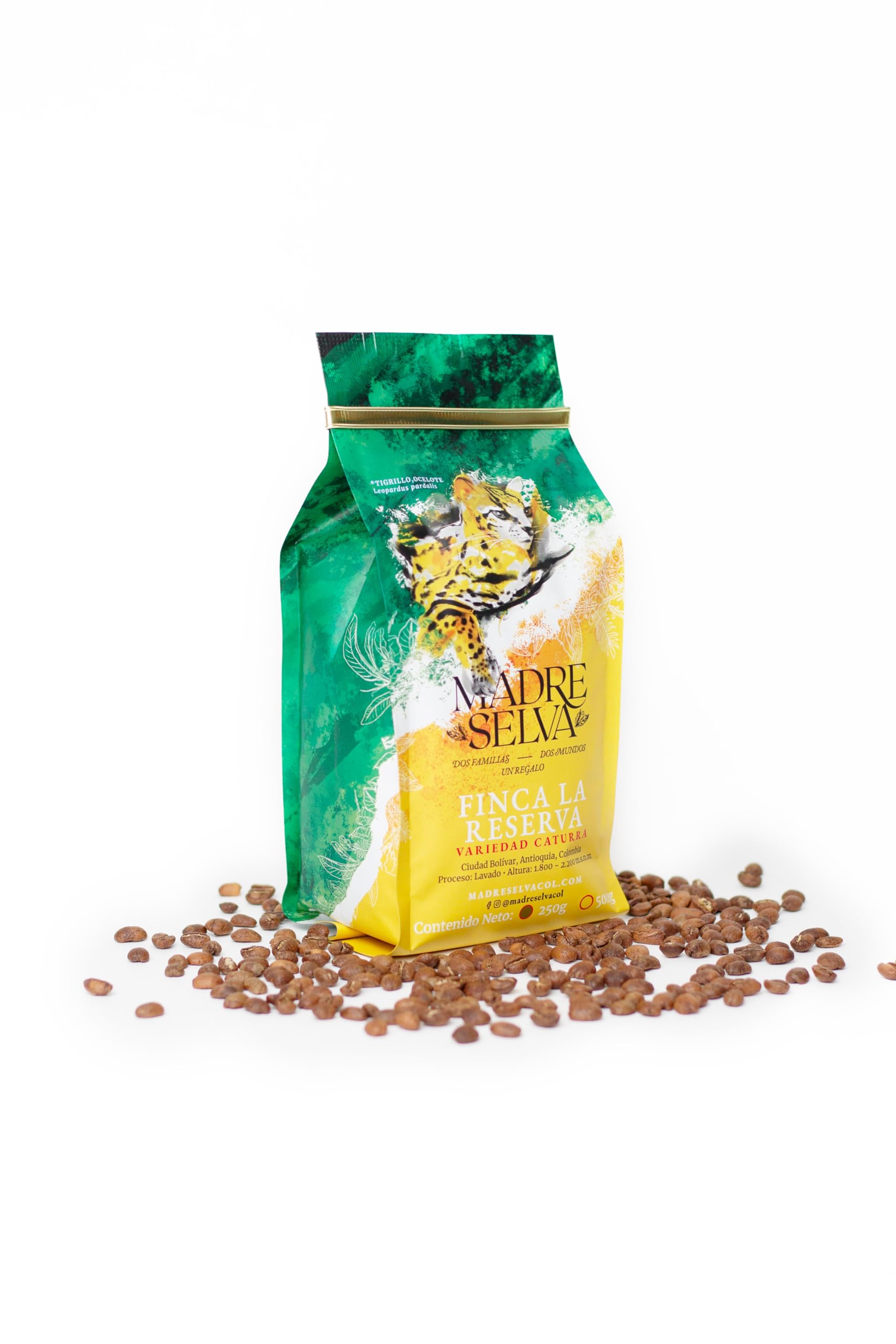 best-whole-beans-madre-selva-medium