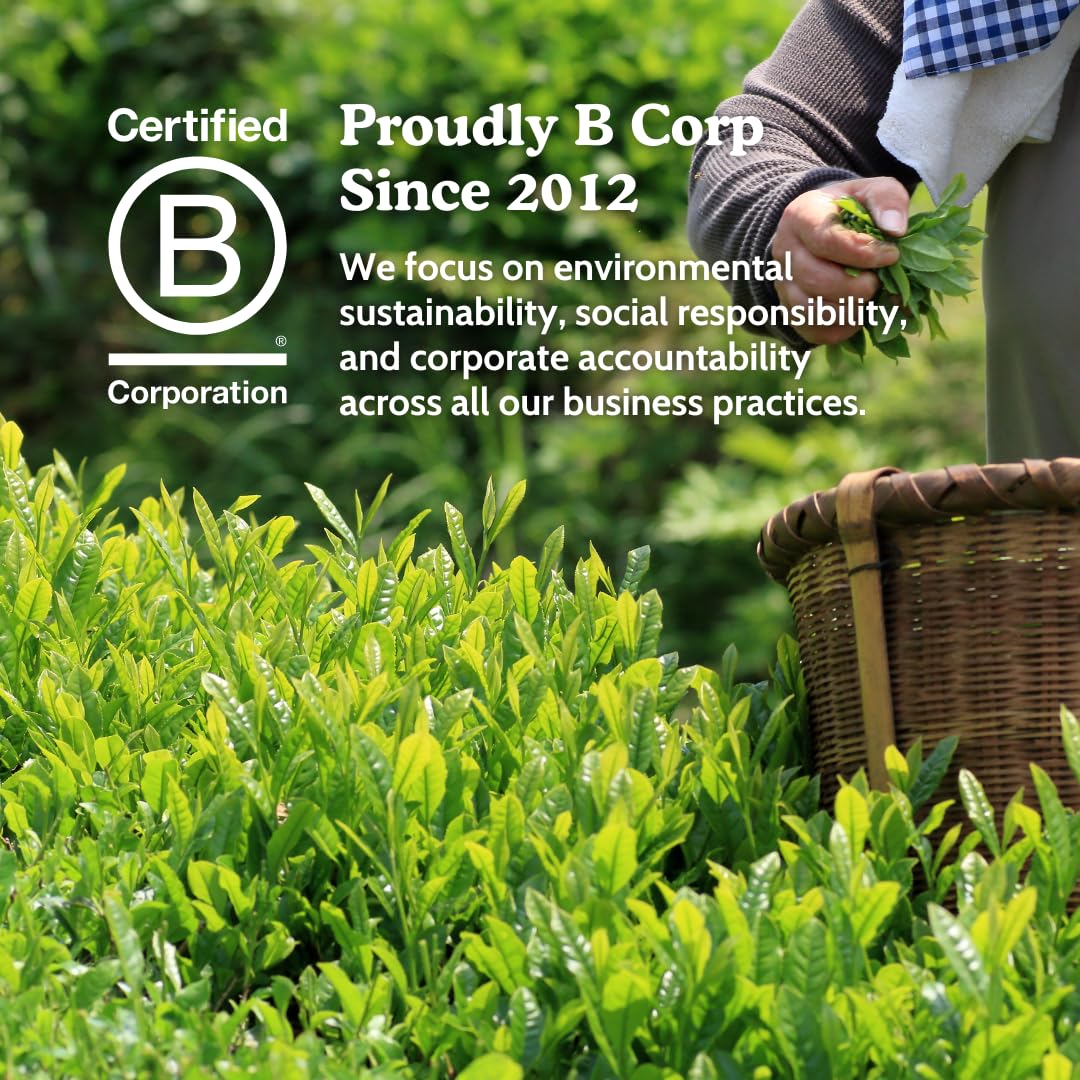 top-rated-matcha-powder-sencha-naturals