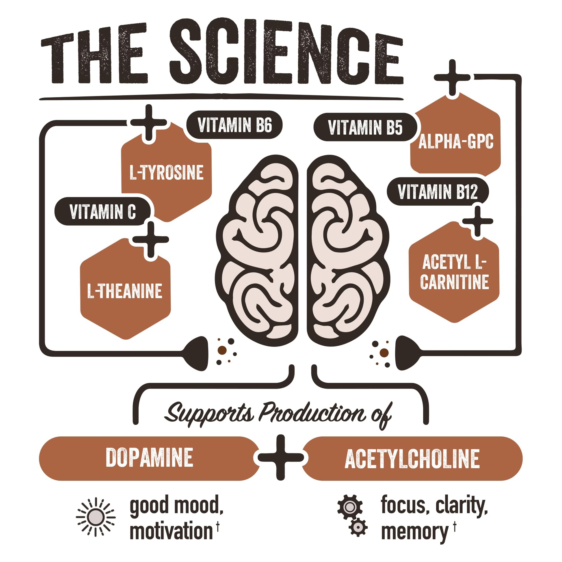 premium-ready-to-drink-coffee-brainjava