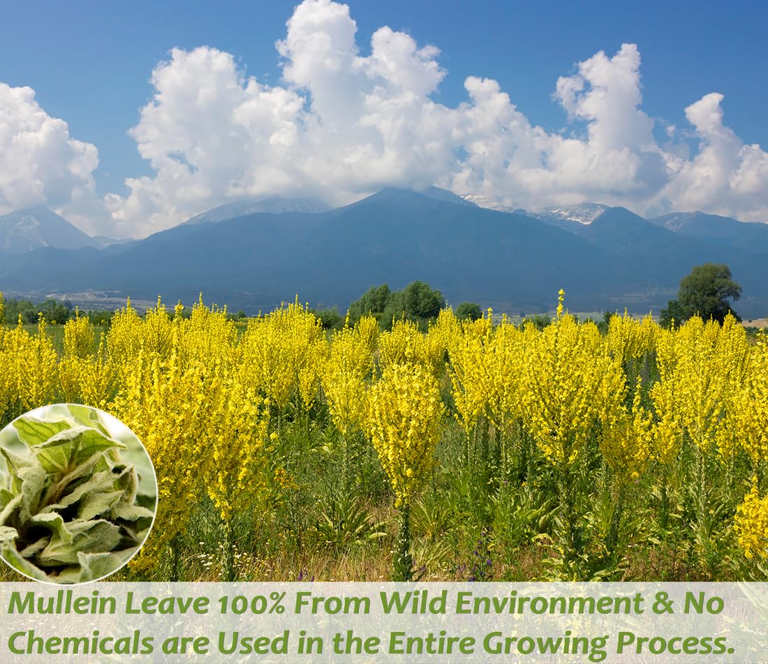 rich-full-bodied-instant-tea