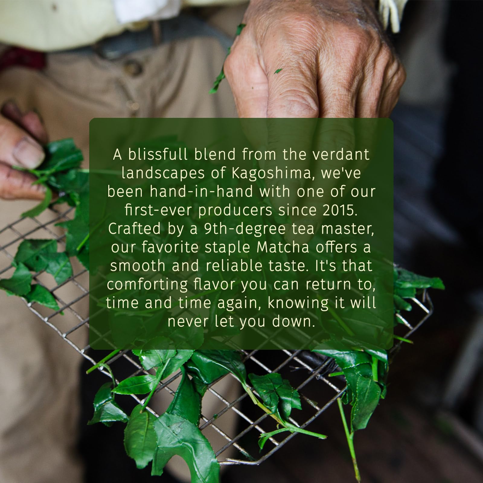 smooth-bold-flavor-matcha-powder