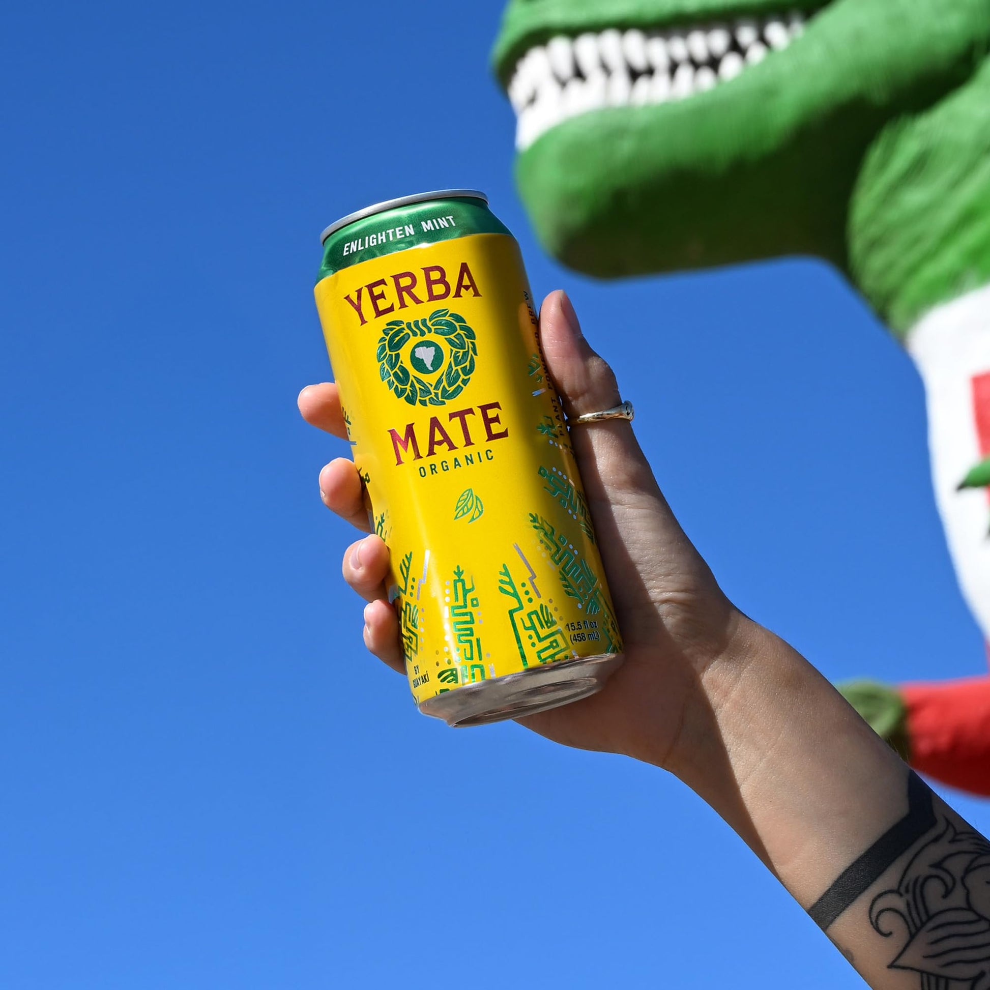 easy-to-brew-green-tea