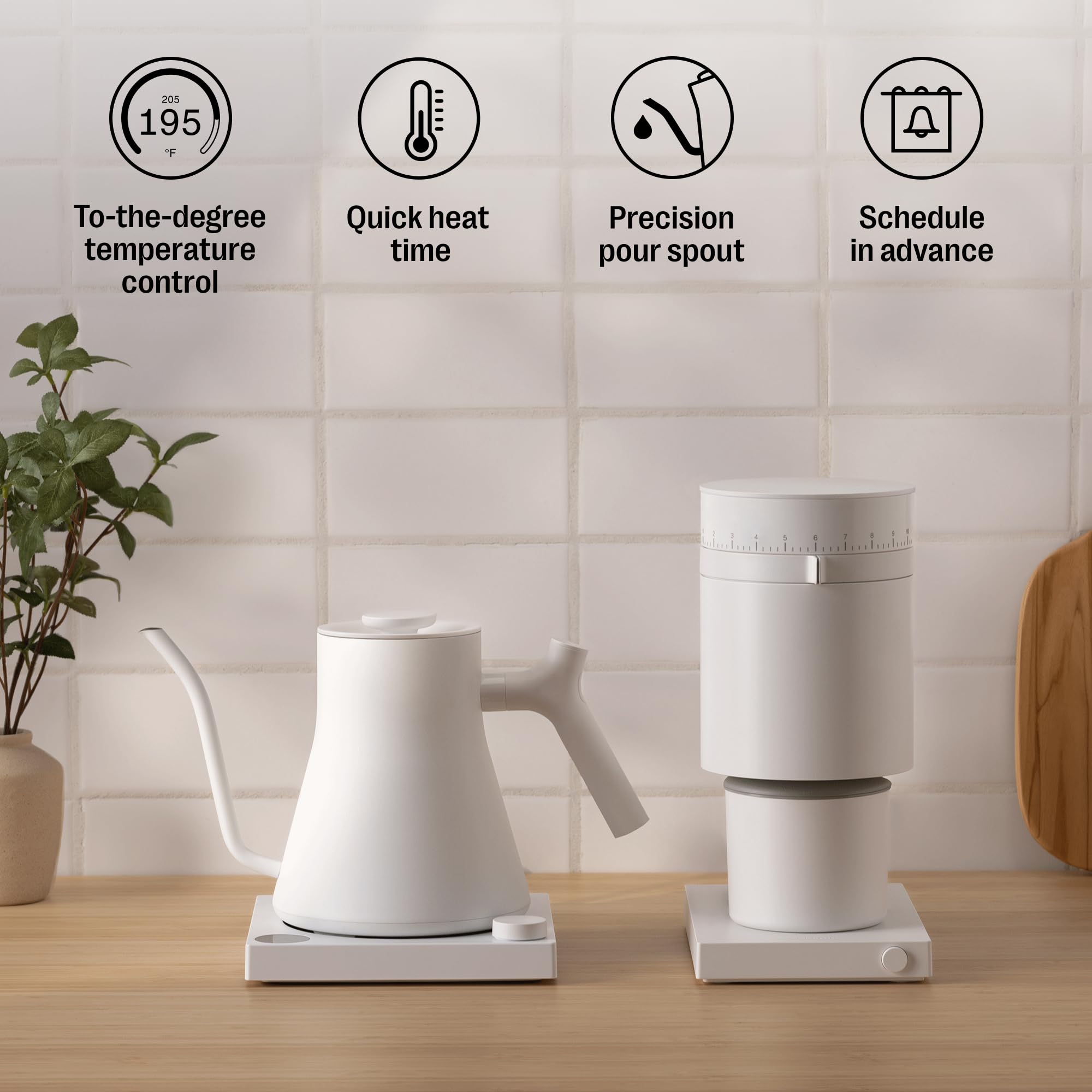 easy-to-brew-green-tea