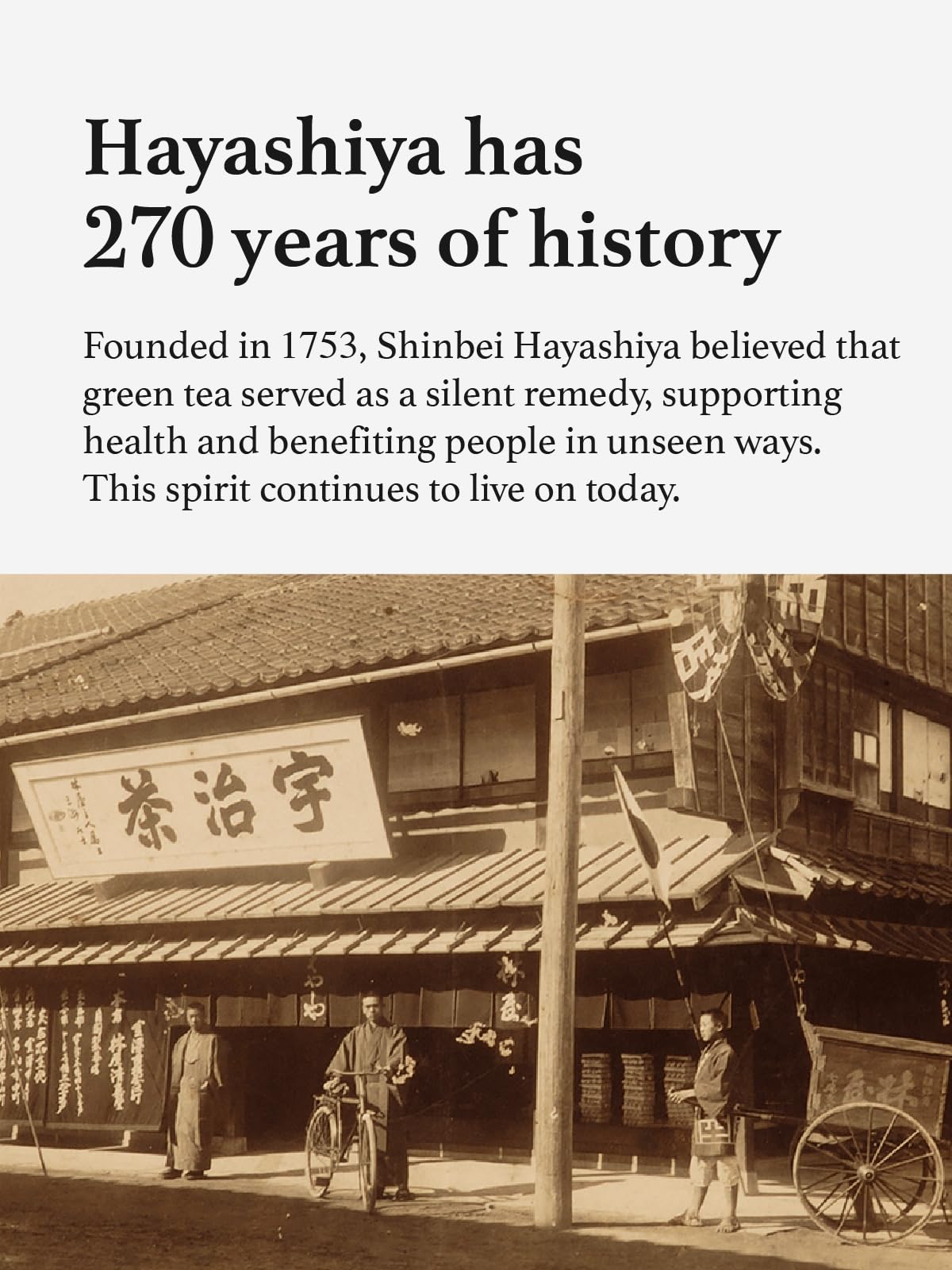 instant-matcha-powder