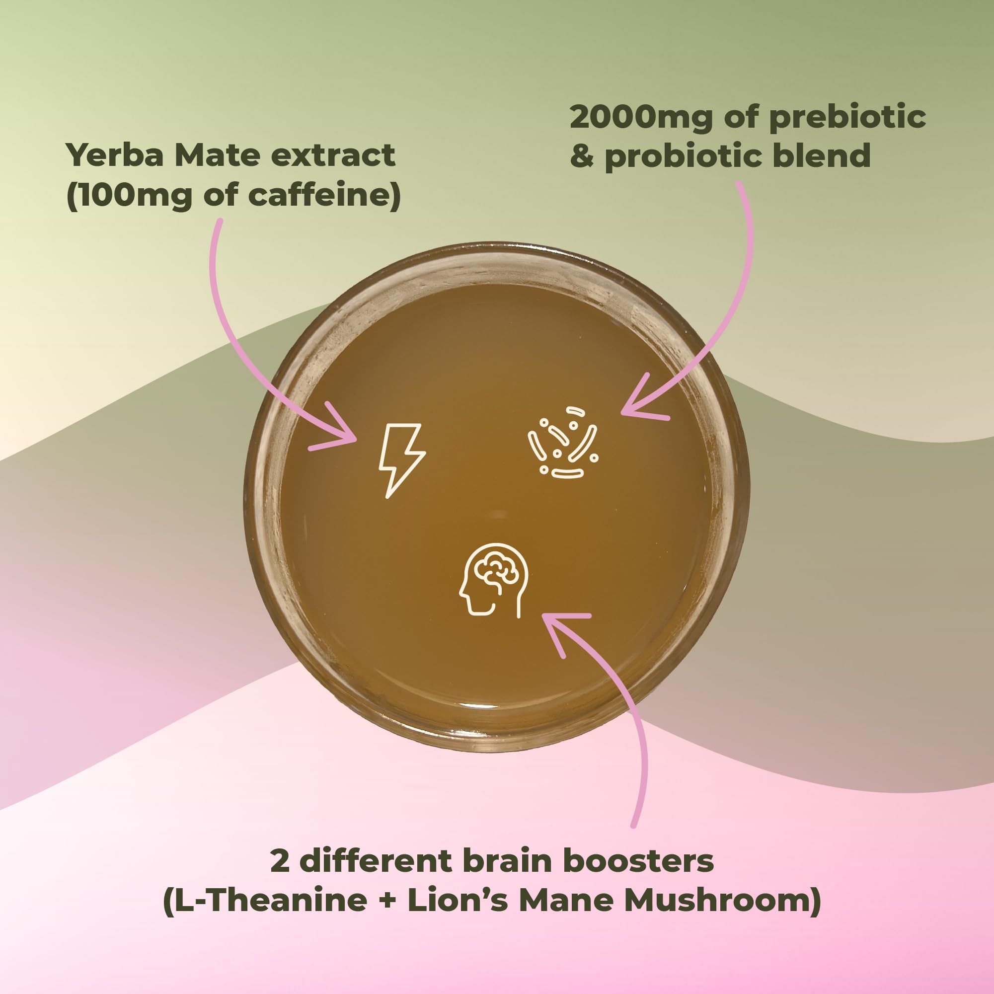 top-rated-chicory-coffee-brainista