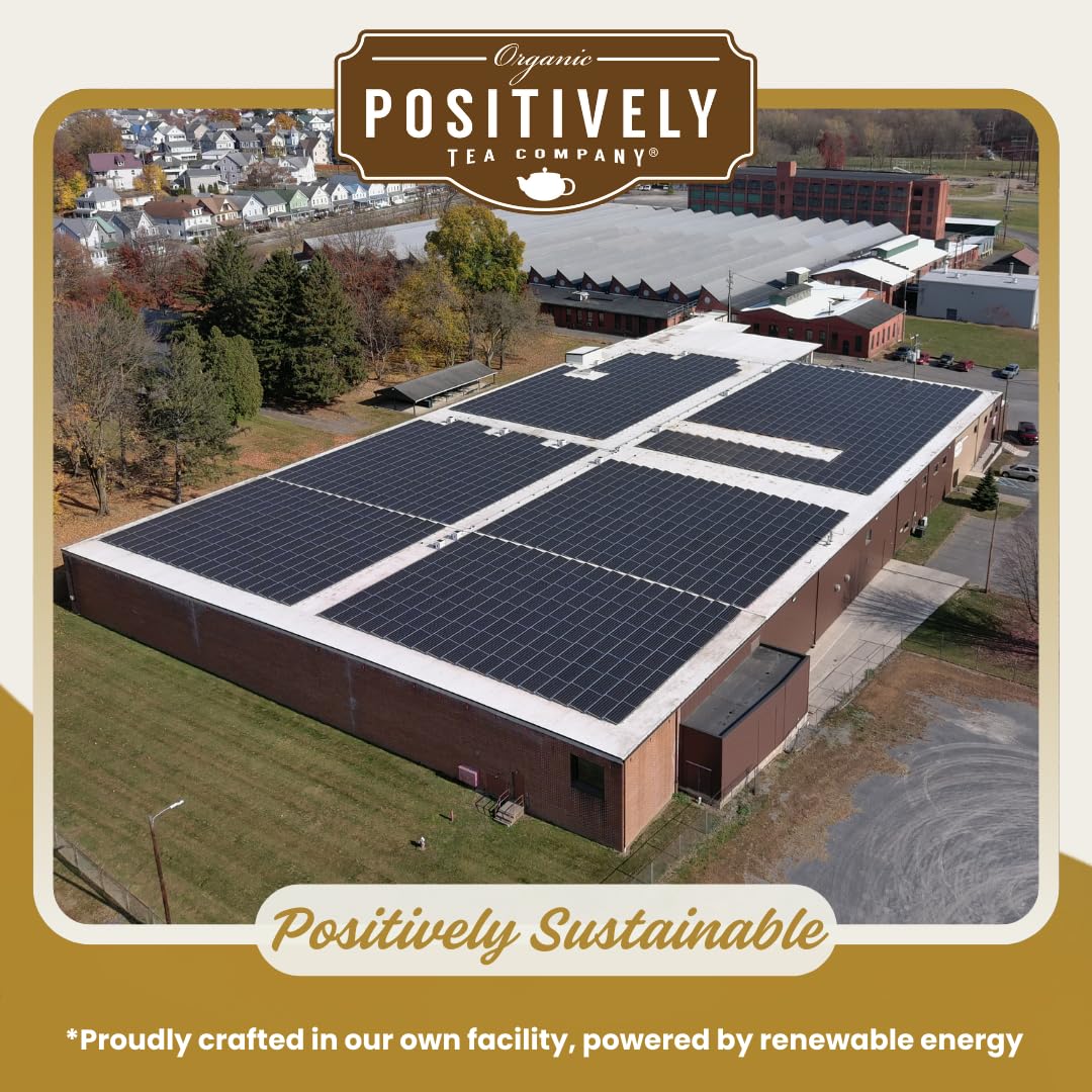 convenient-green-tea-multi-serve