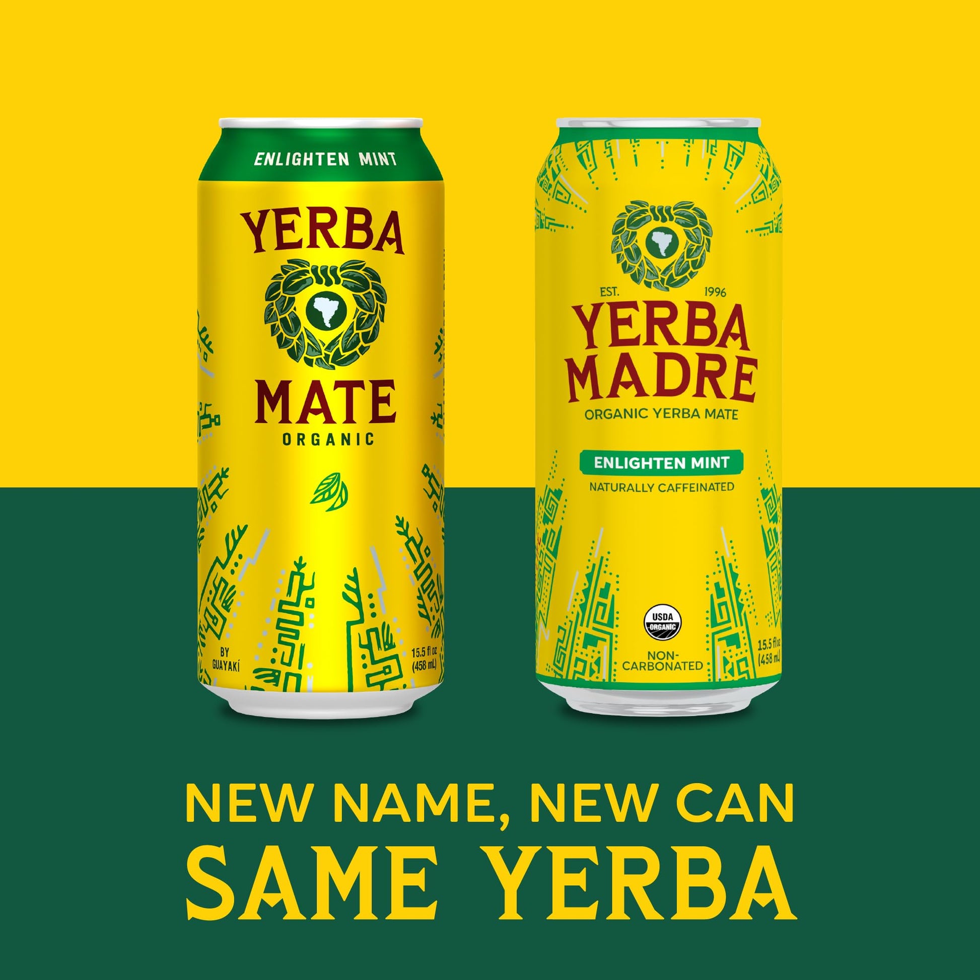 rich-full-bodied-green-tea