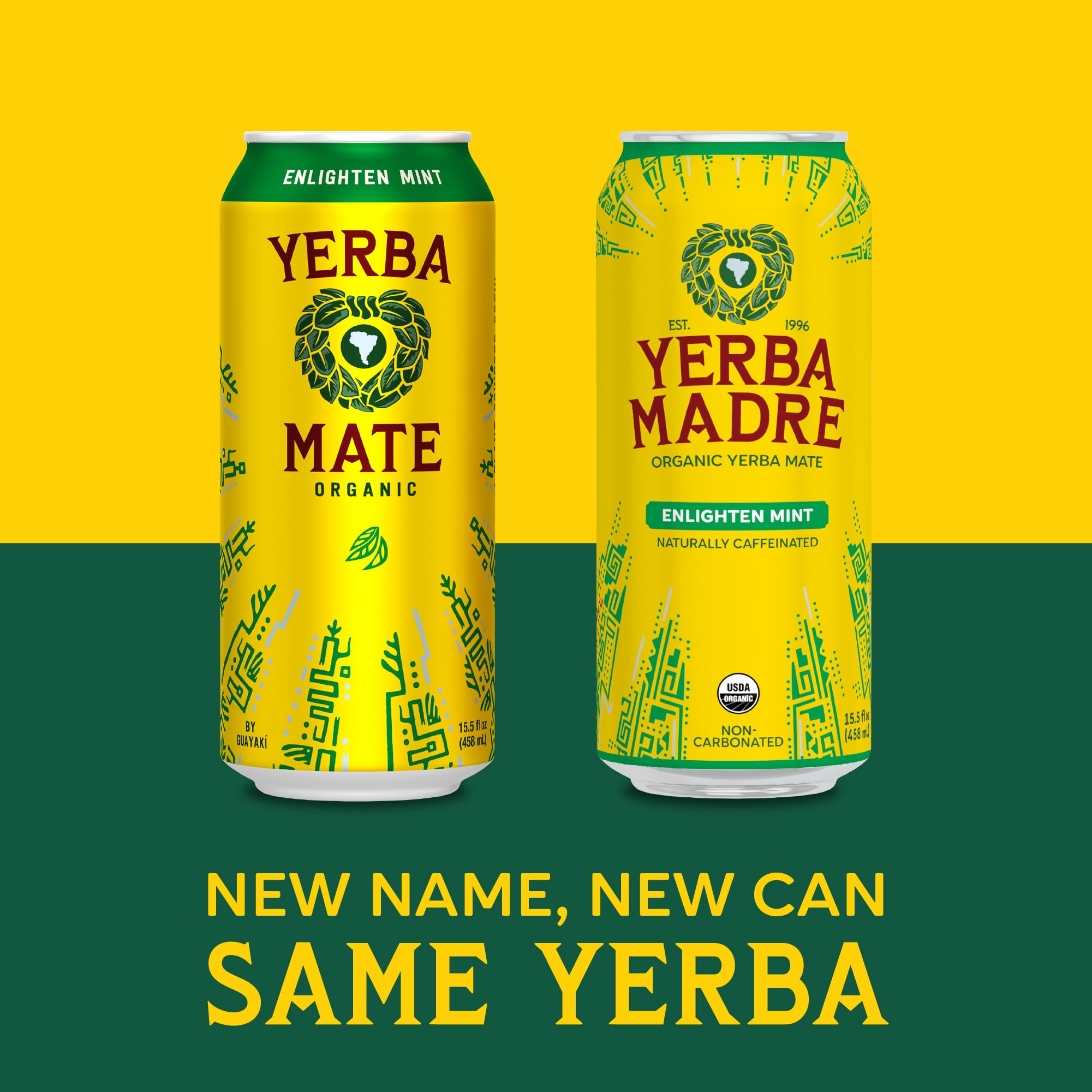 rich-full-bodied-green-tea