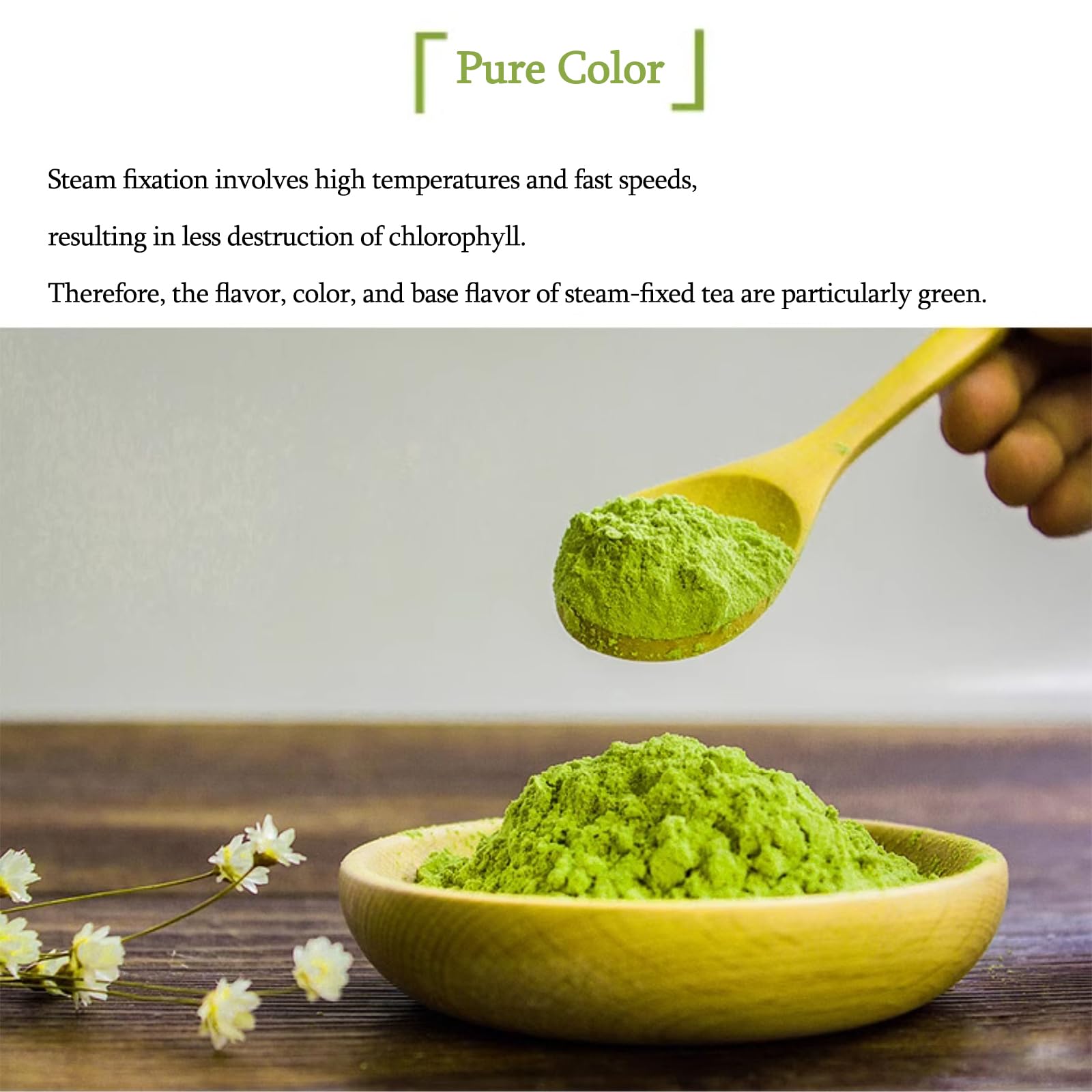 rich-full-bodied-matcha-powder