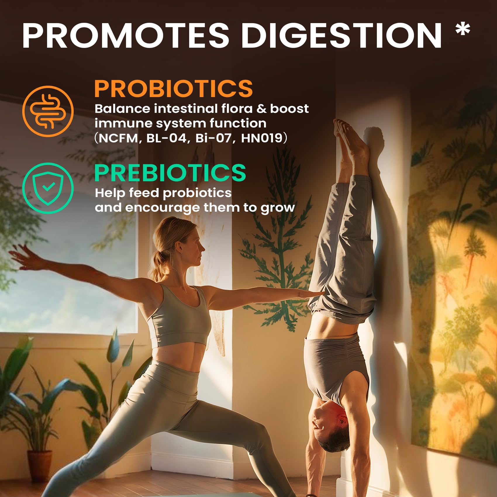 affordable-mushroom-coffee