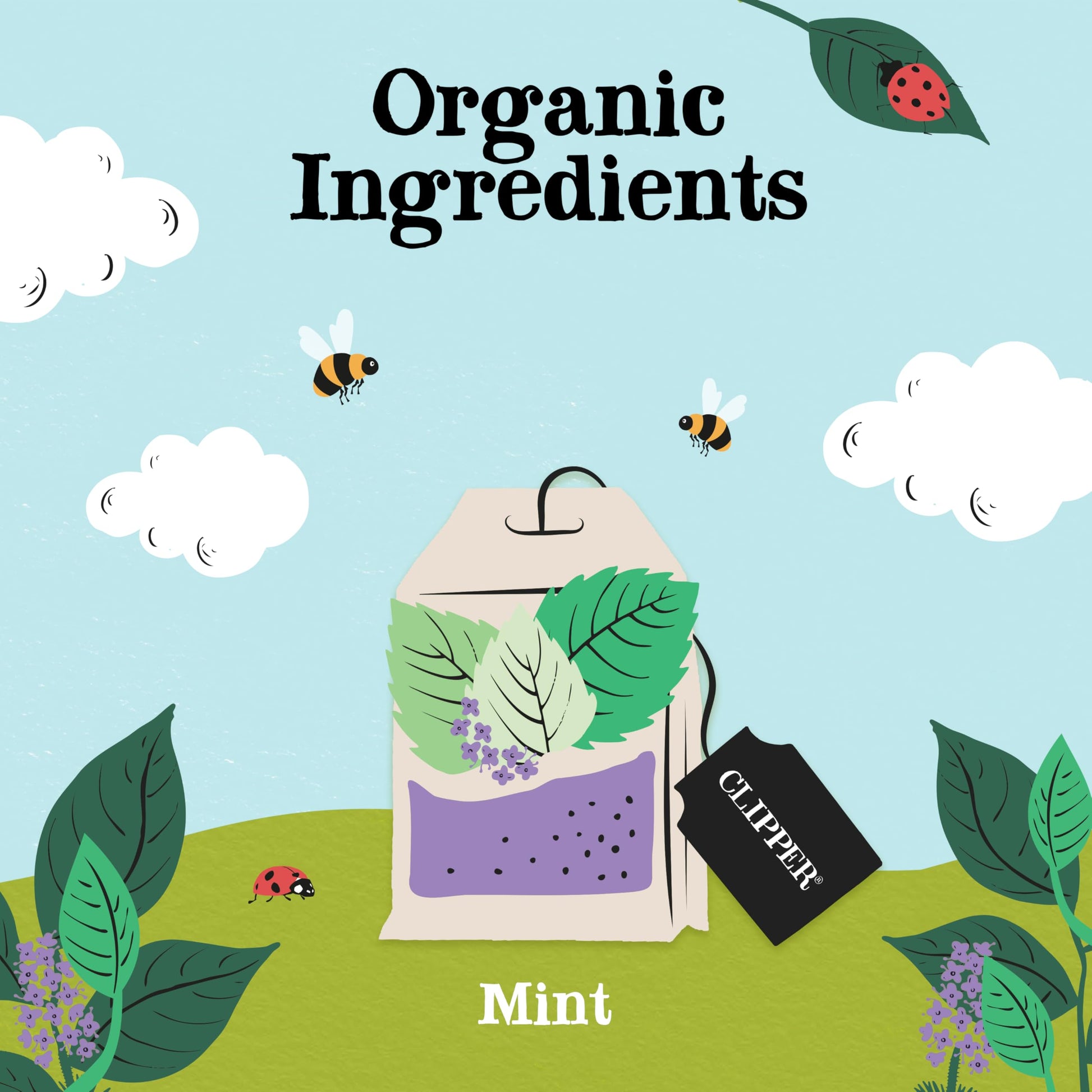 affordable-instant-tea