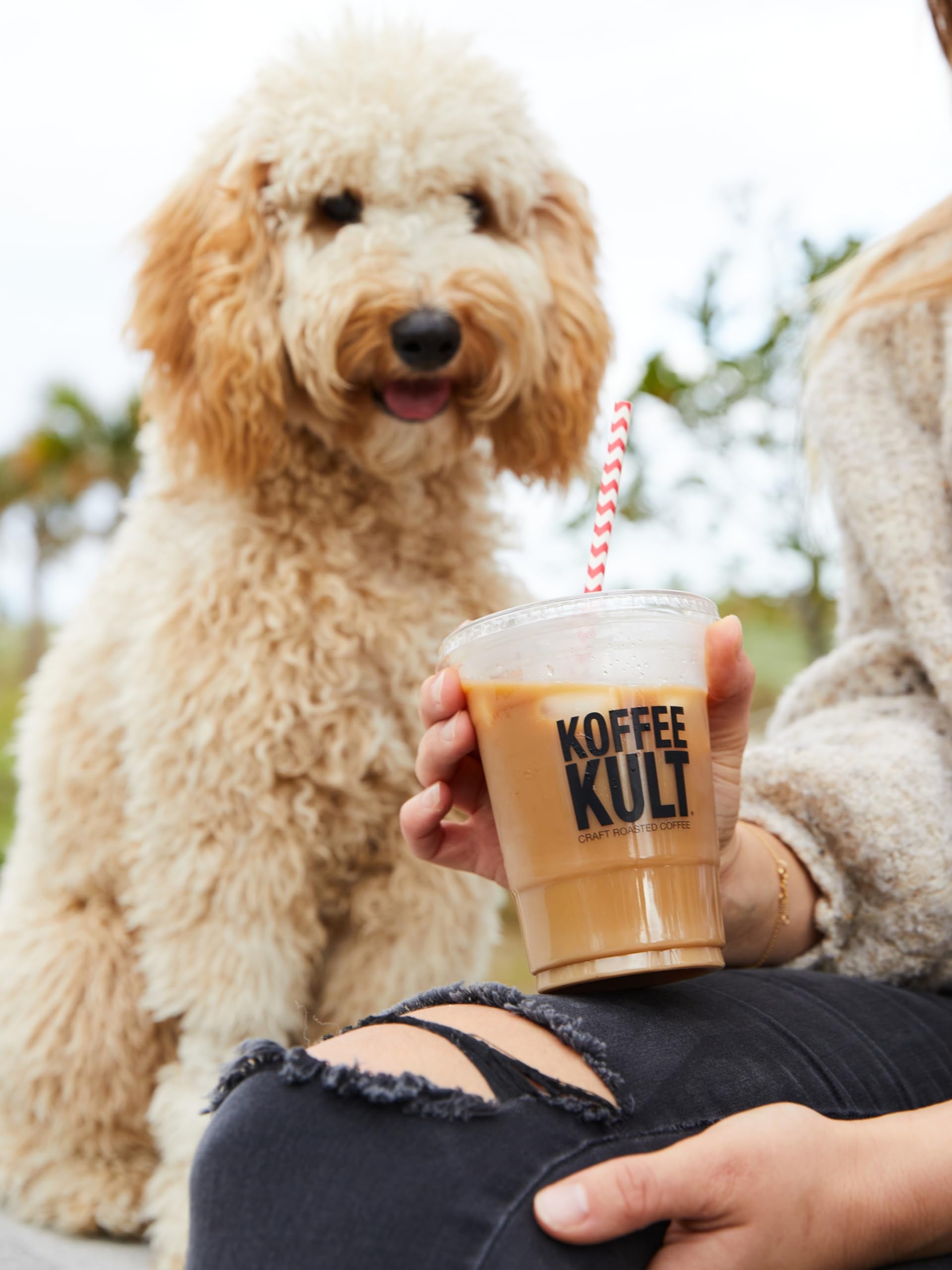 easy-to-brew-ground-coffee