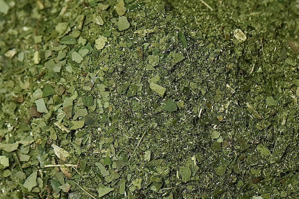 top-rated-green-tea-yerba-mate-lab