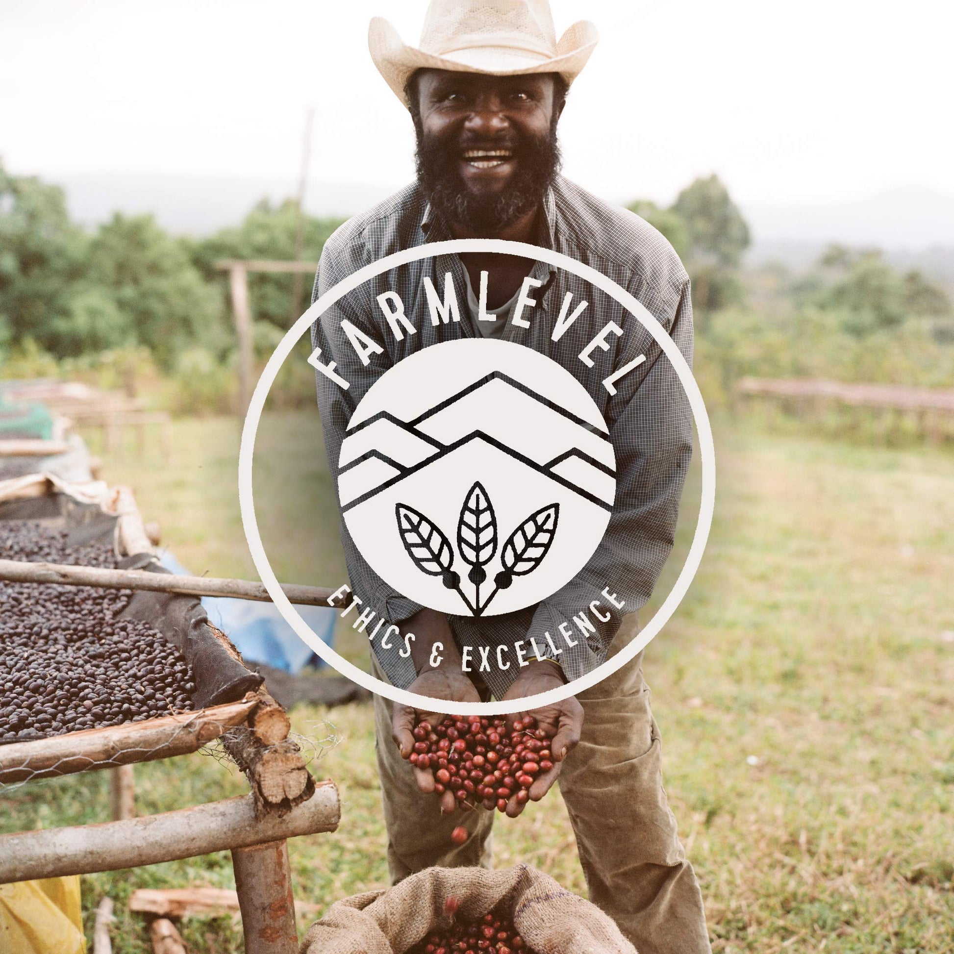 easy-to-brew-whole-beans