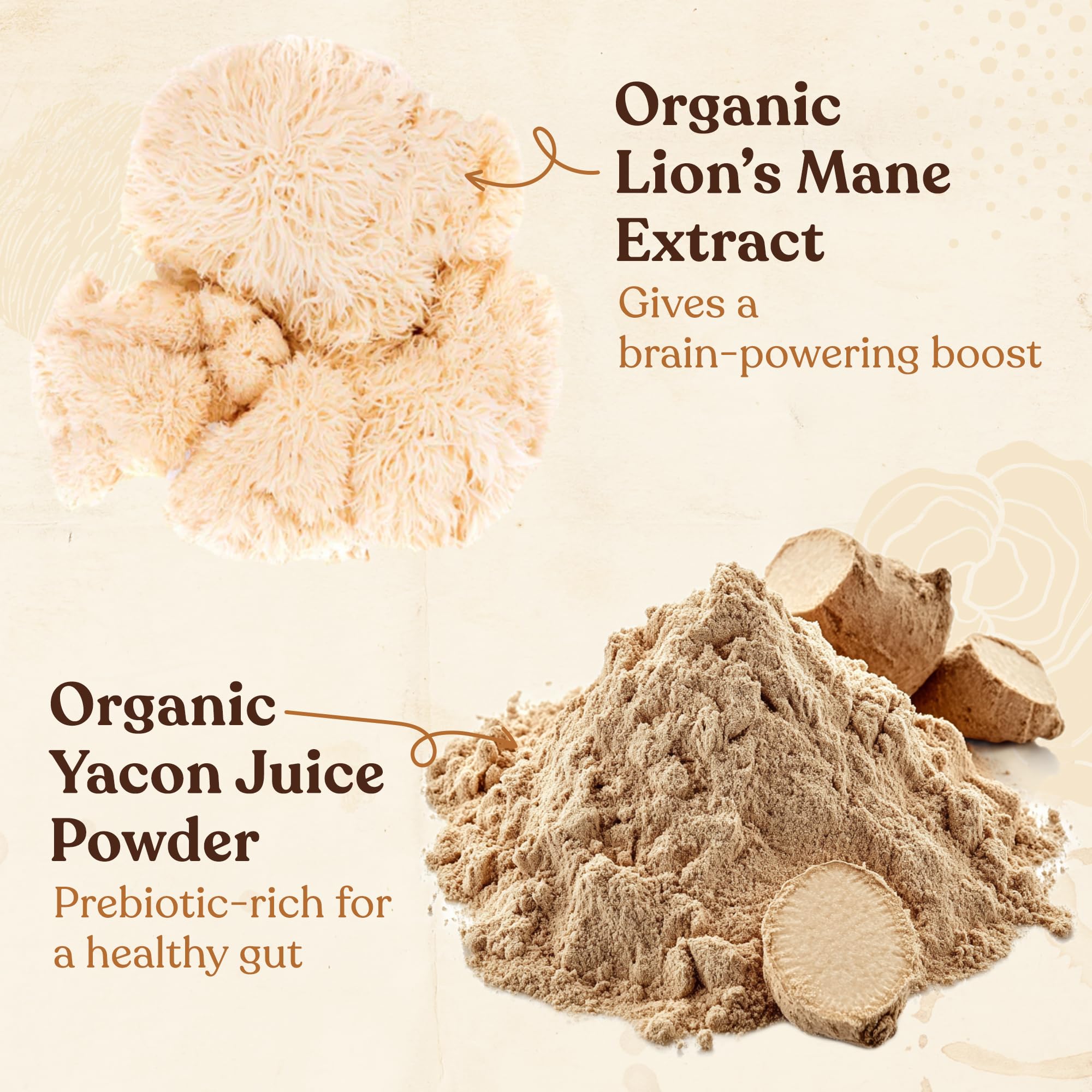 easy-to-brew-whole-beans