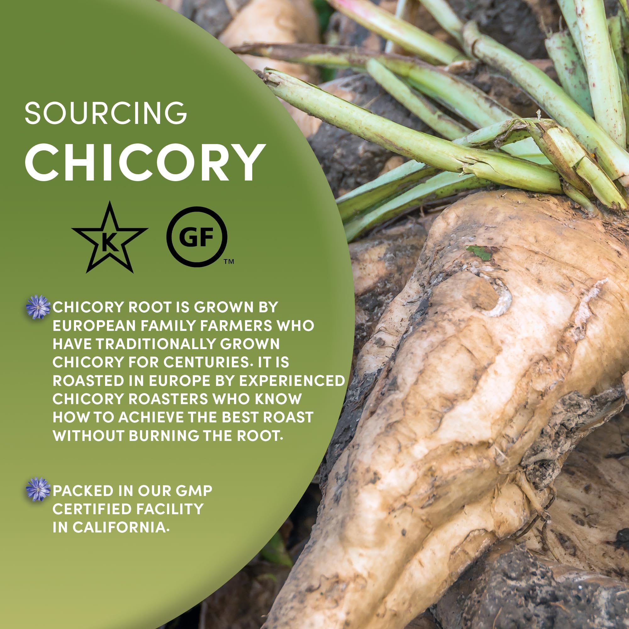 top-rated-chicory-coffee-worldwide-botanicals