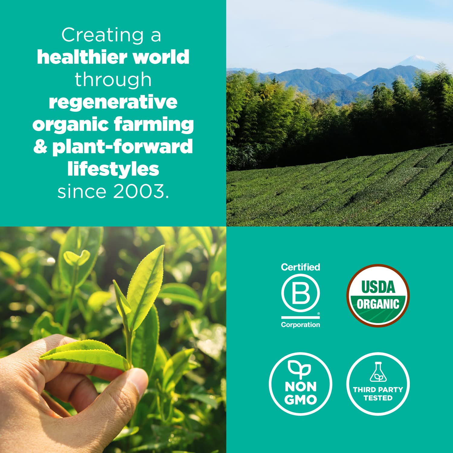 smooth-bold-flavor-matcha-powder