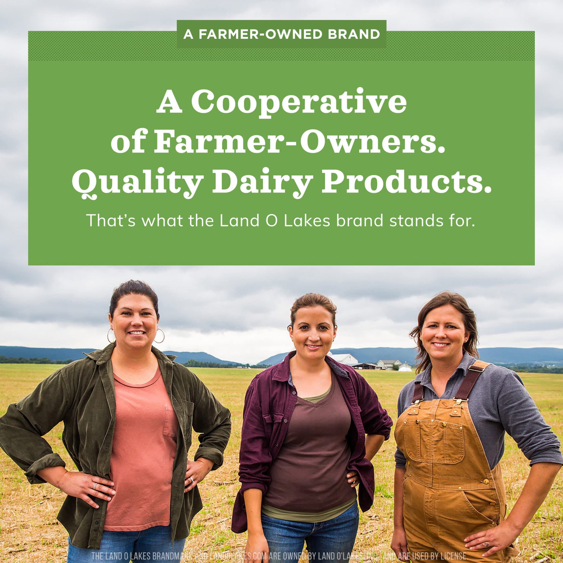 affordable-instant-coffee