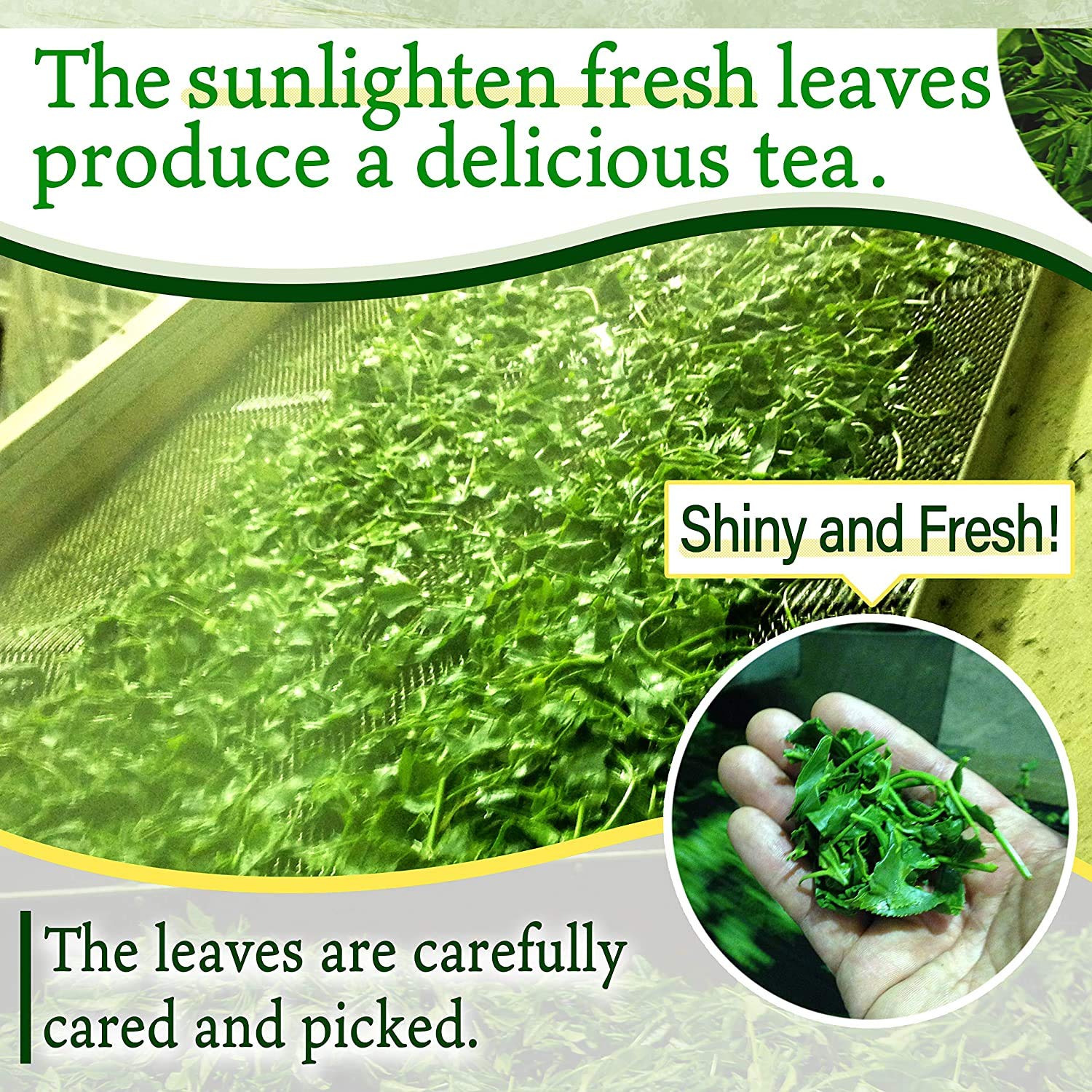 smooth-bold-flavor-instant-tea