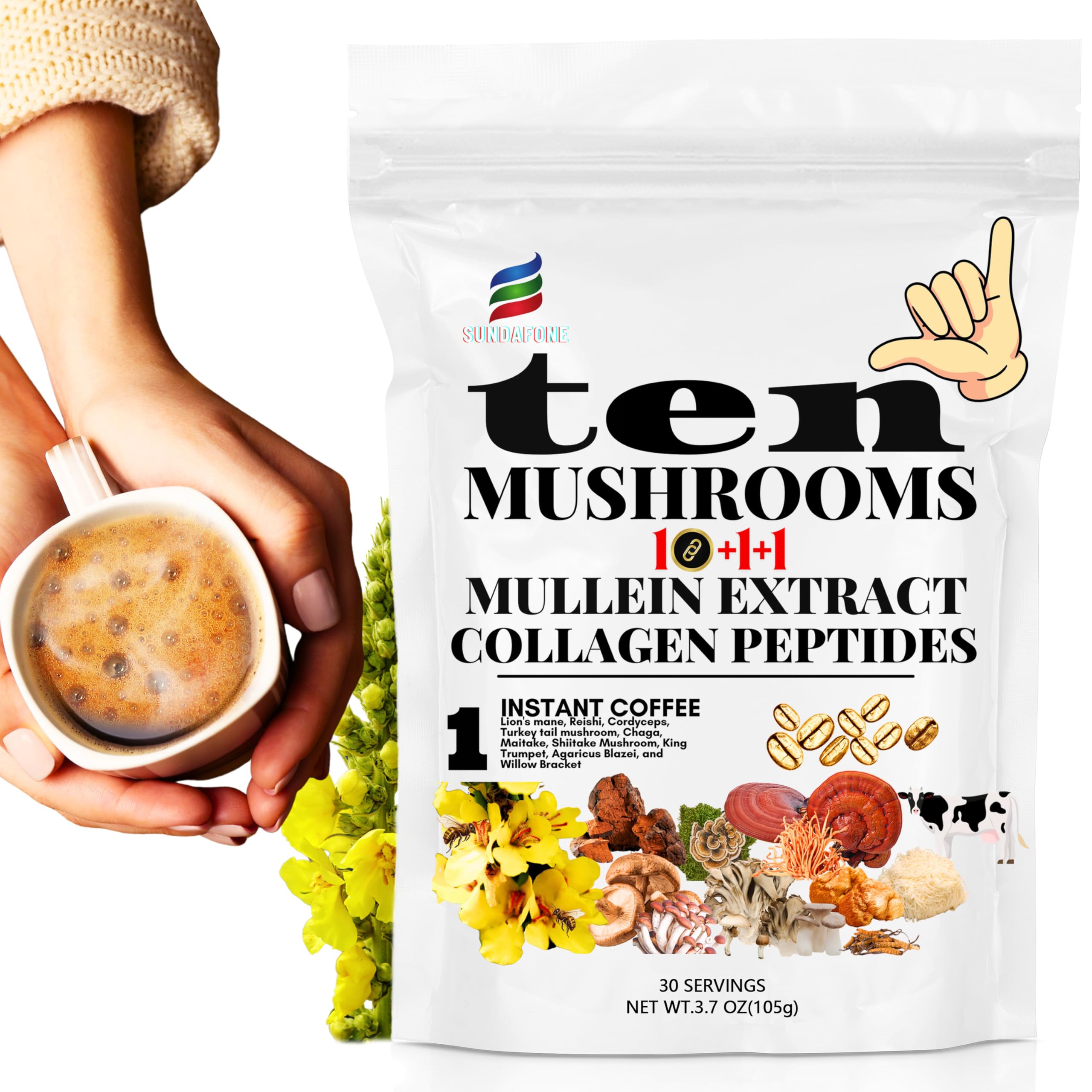 top-rated-mushroom-coffee-sundafone