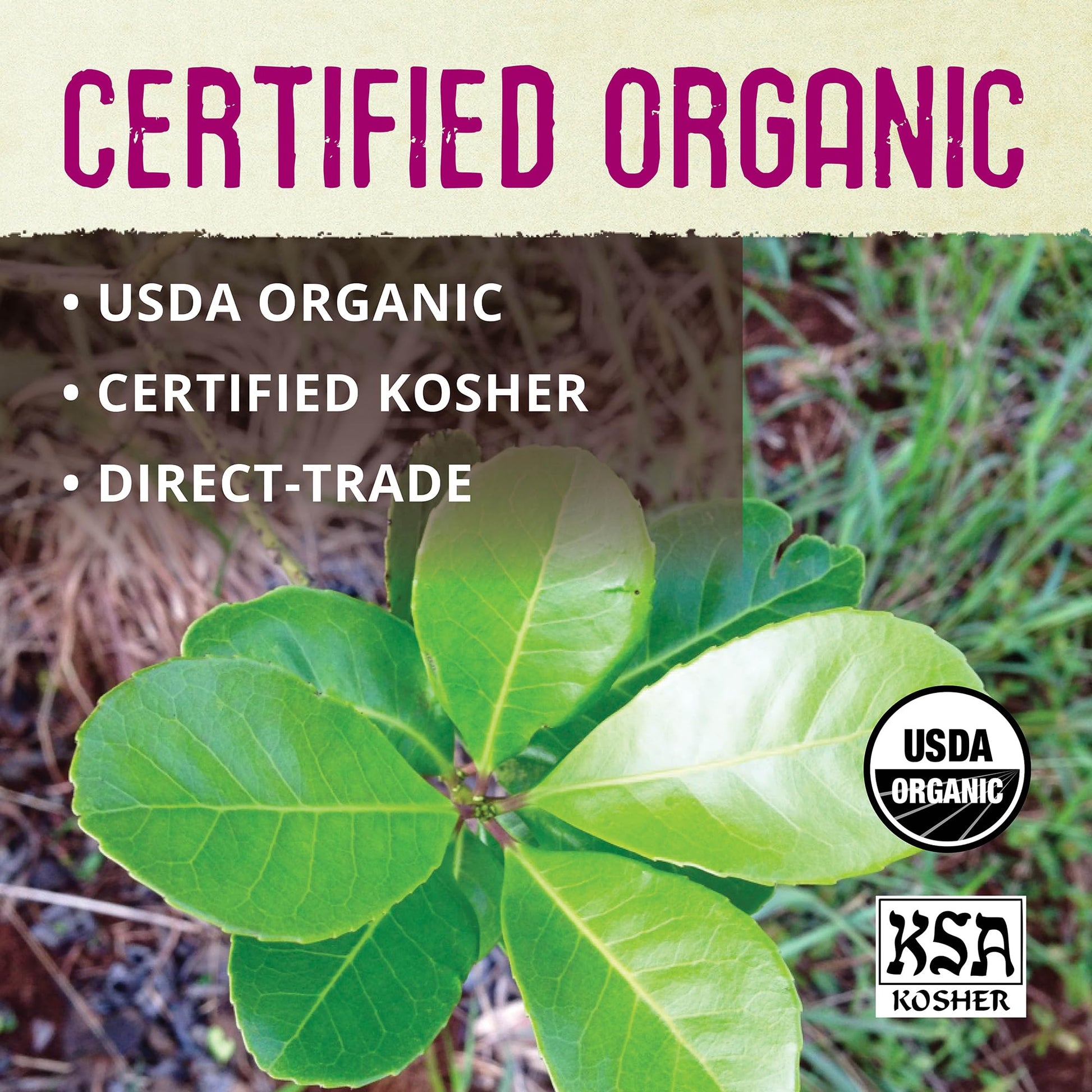 premium-yerba-mate-ecoteas