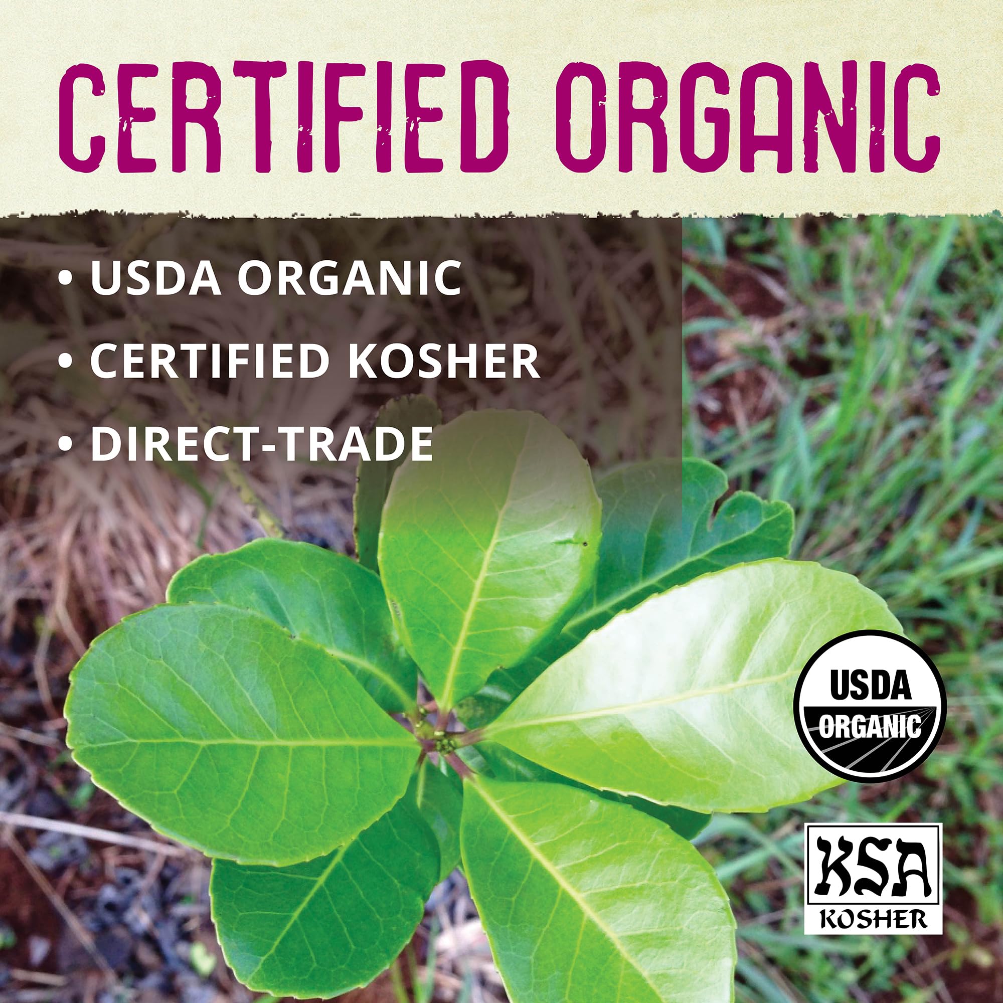 premium-yerba-mate-ecoteas