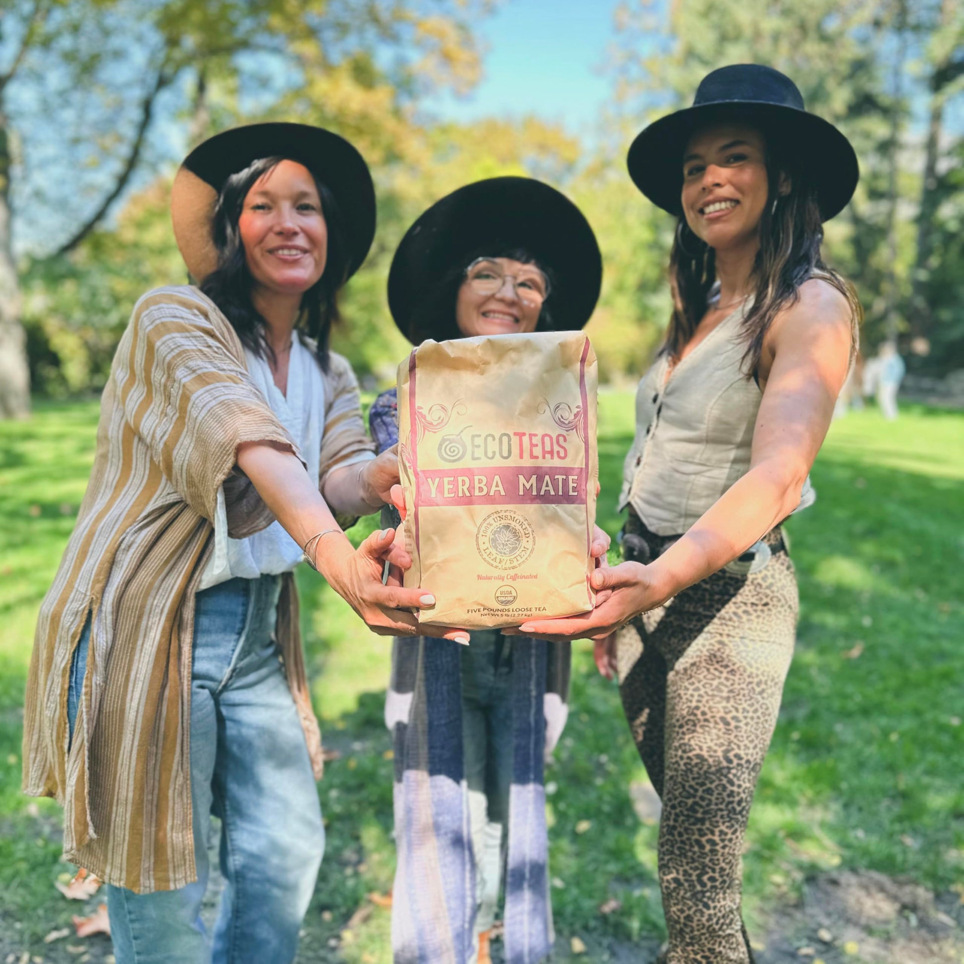 top-rated-yerba-mate-ecoteas