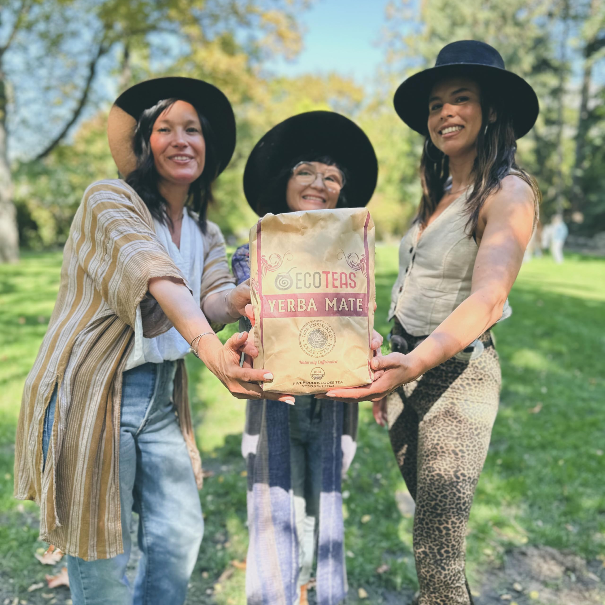 top-rated-yerba-mate-ecoteas