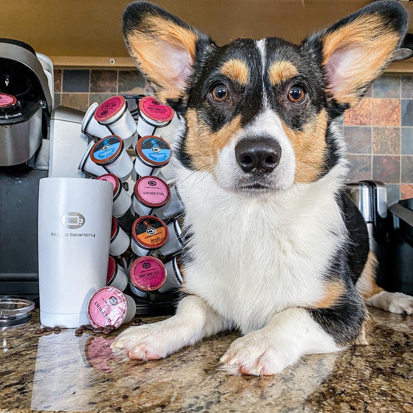 convenient-coffee-pods-k-cups-etc-single-serve